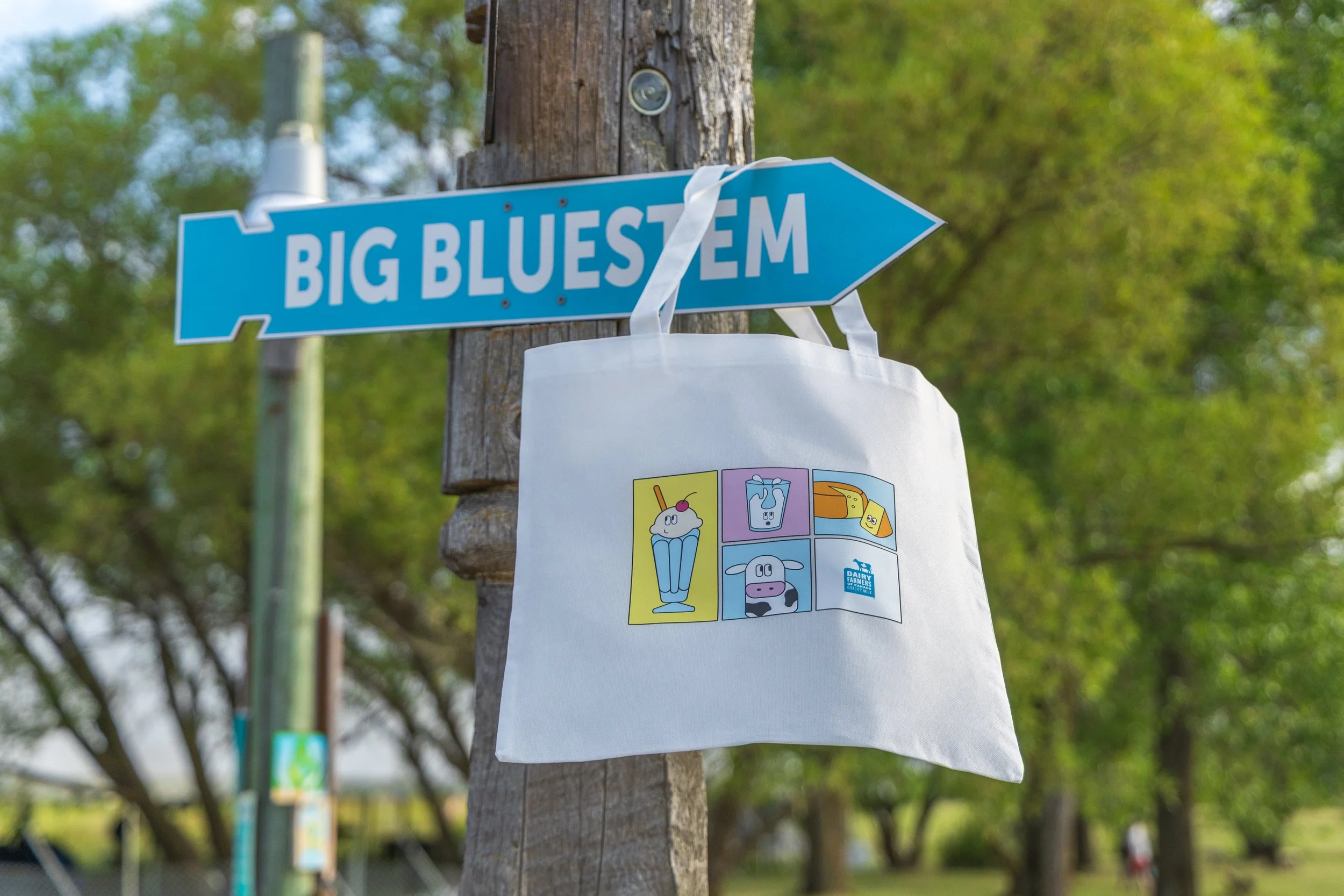 Anthony Urso - Folk Fest 2025-140.JPG