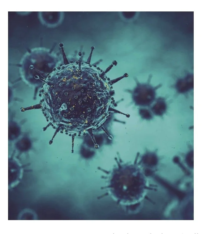 Close-up digital illustration of a virus, showing spherical shape with spike-like projections