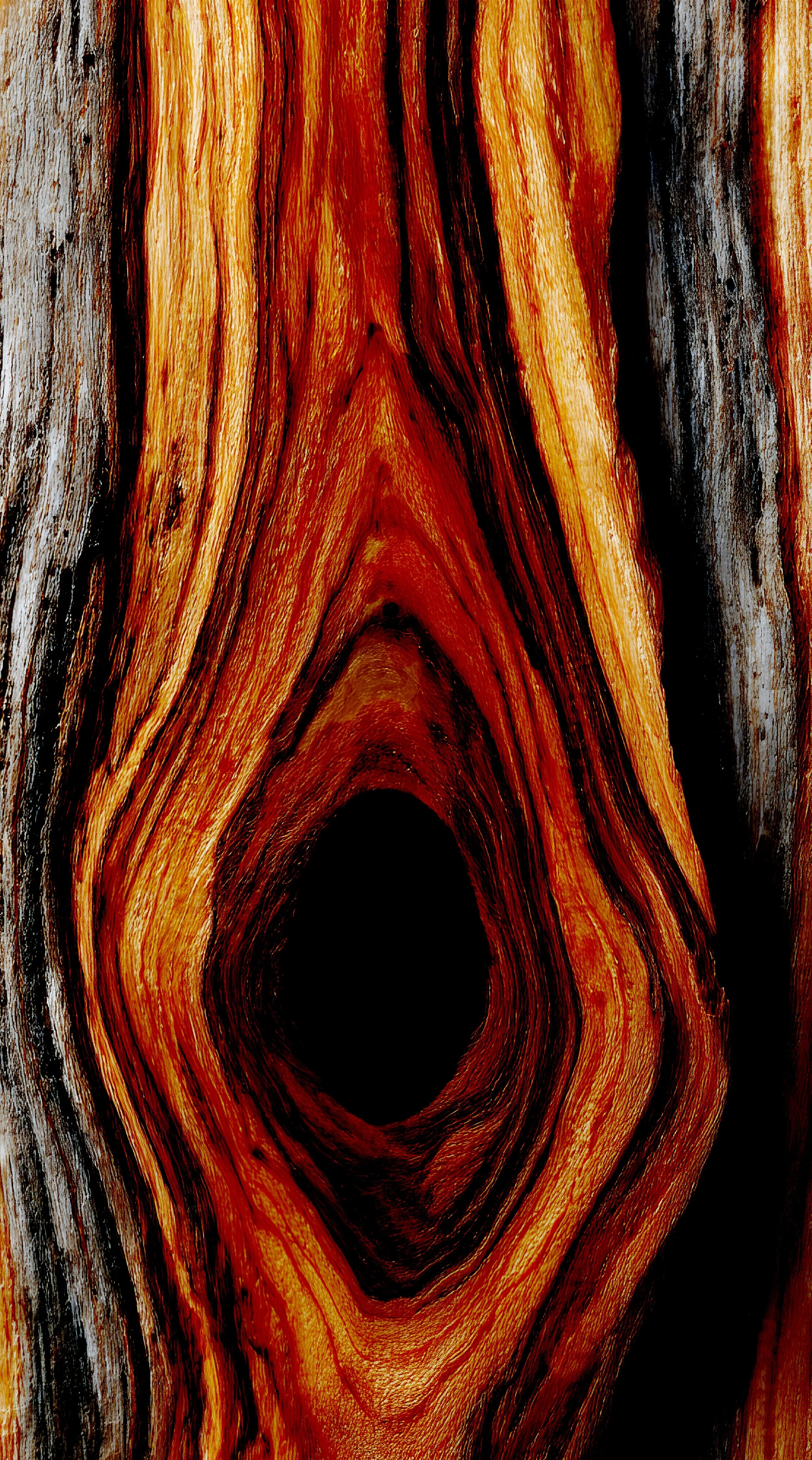 Split a Piece of Wood -- She Is There