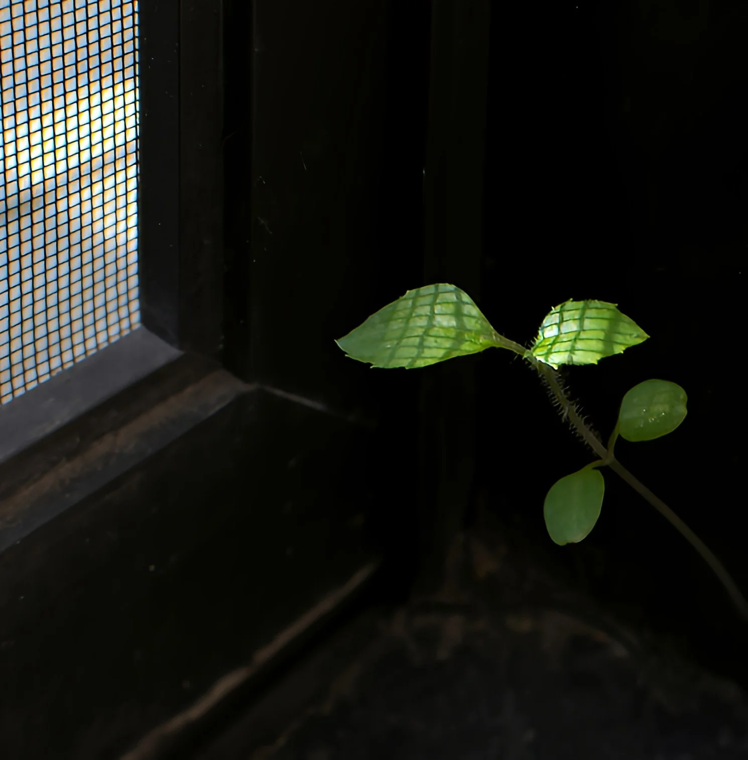 Reaching