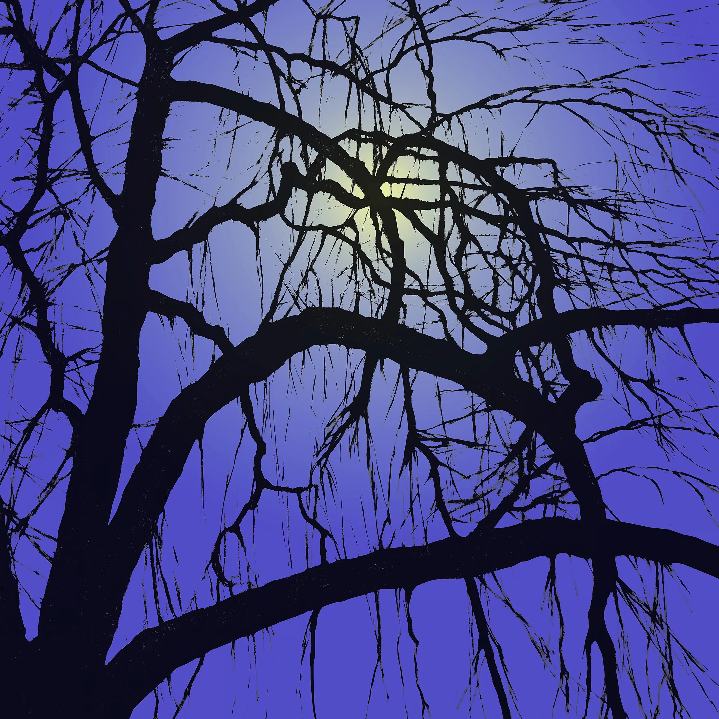 Winter Tree with Hazy Moon