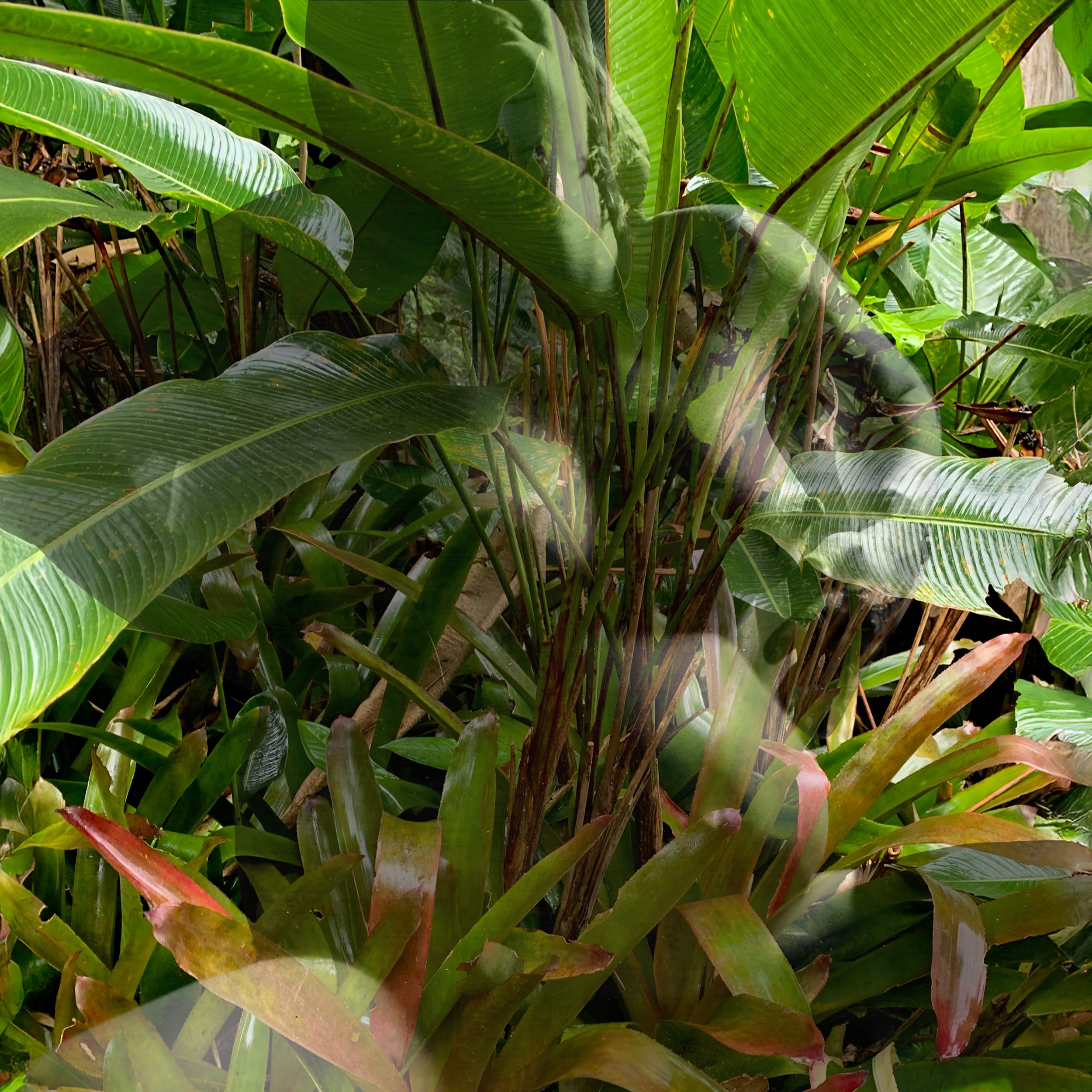 Nature's Constant Labor