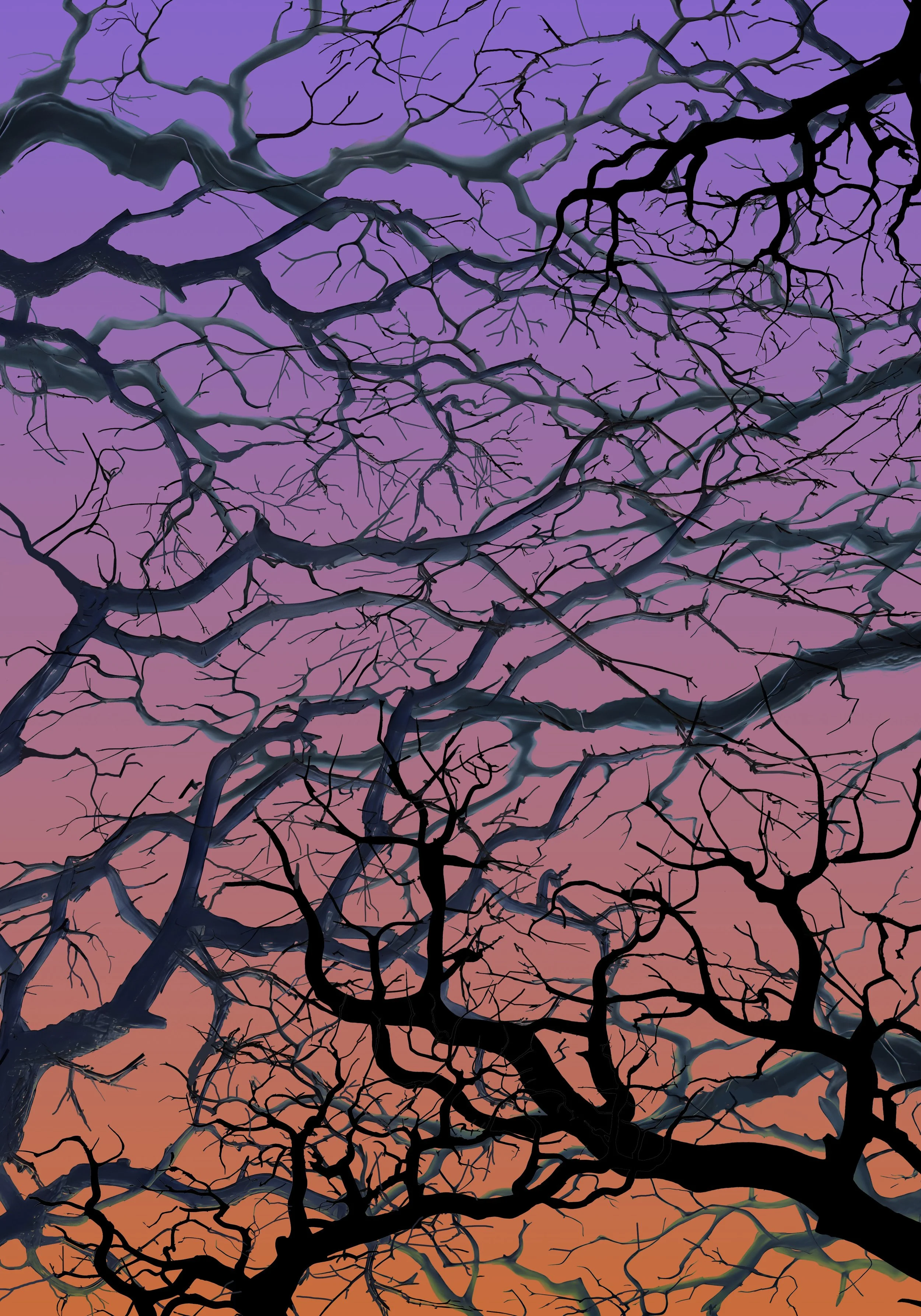 Trees with Orange and Purple Sunset