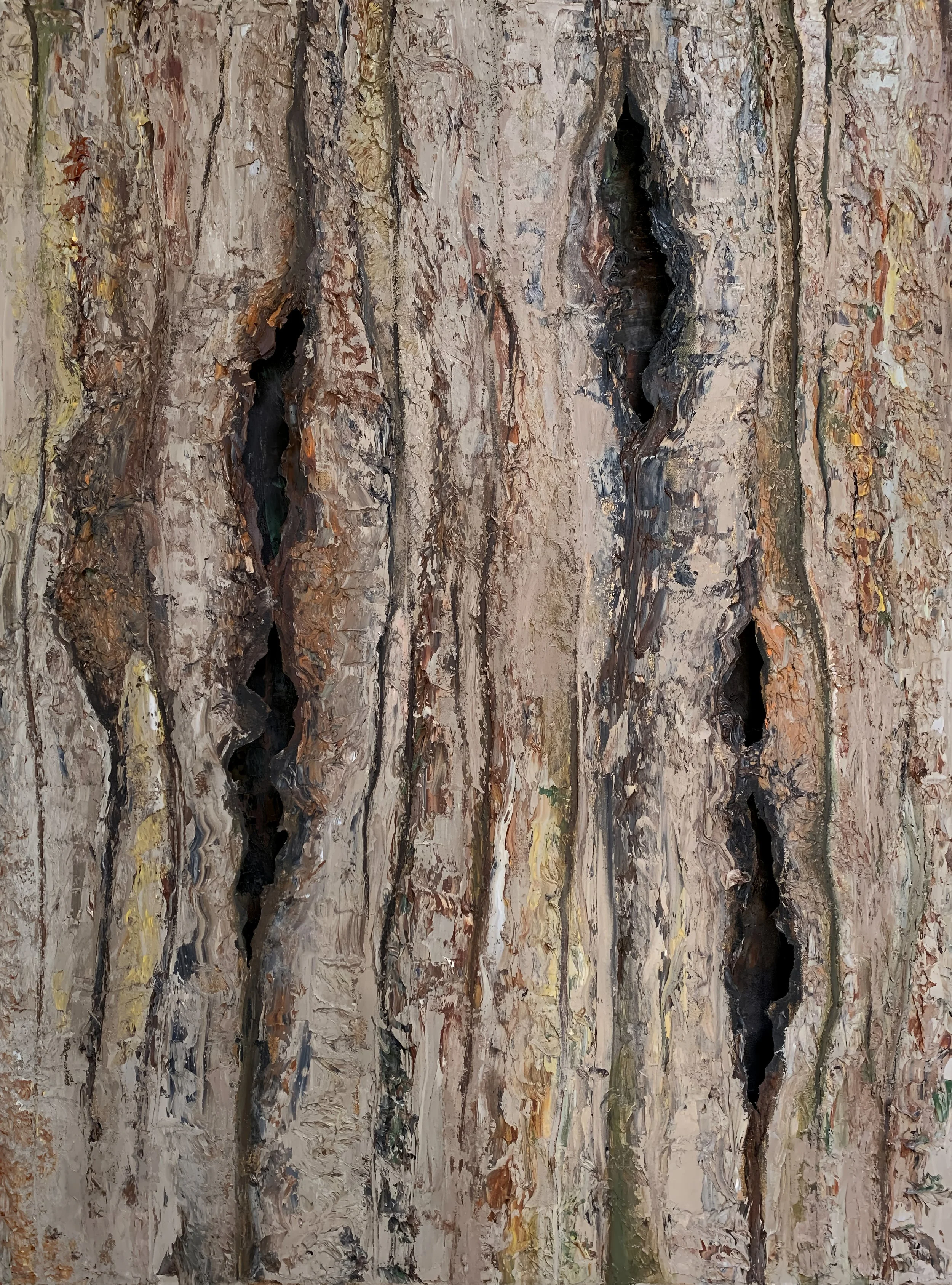 Bark