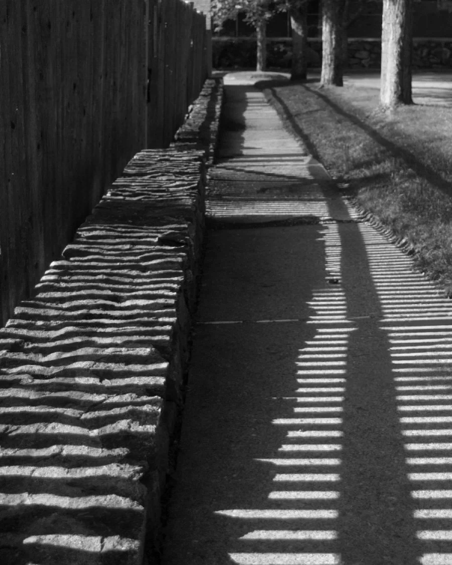 Fence Shadows