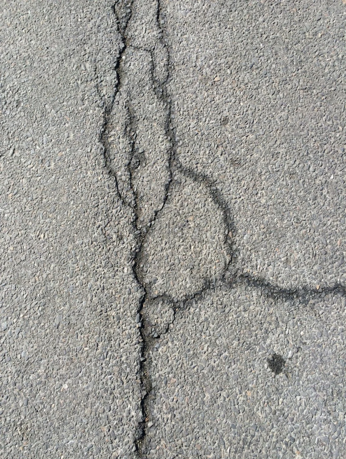 Step on a Crack