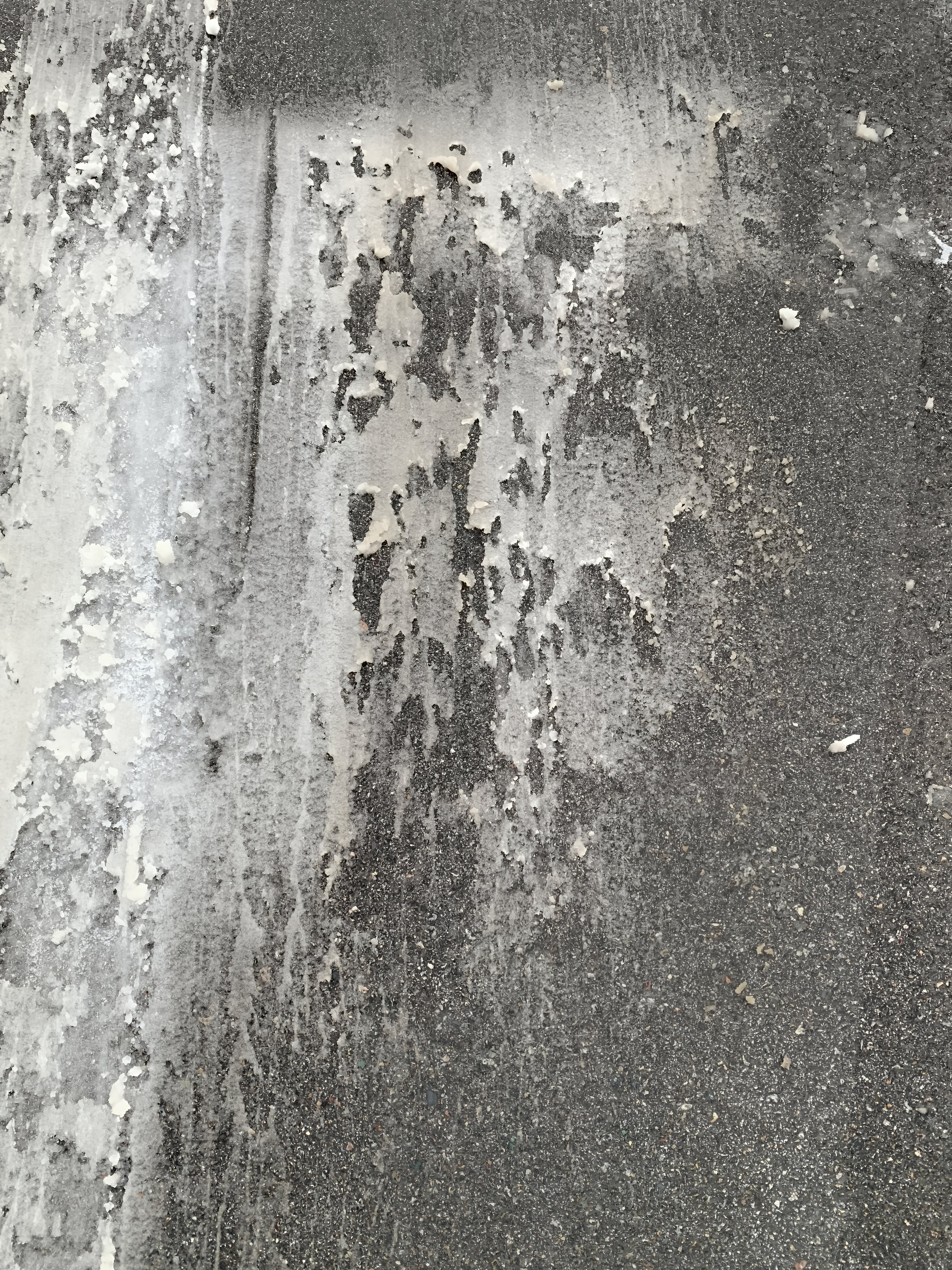 Winter on Asphalt 1