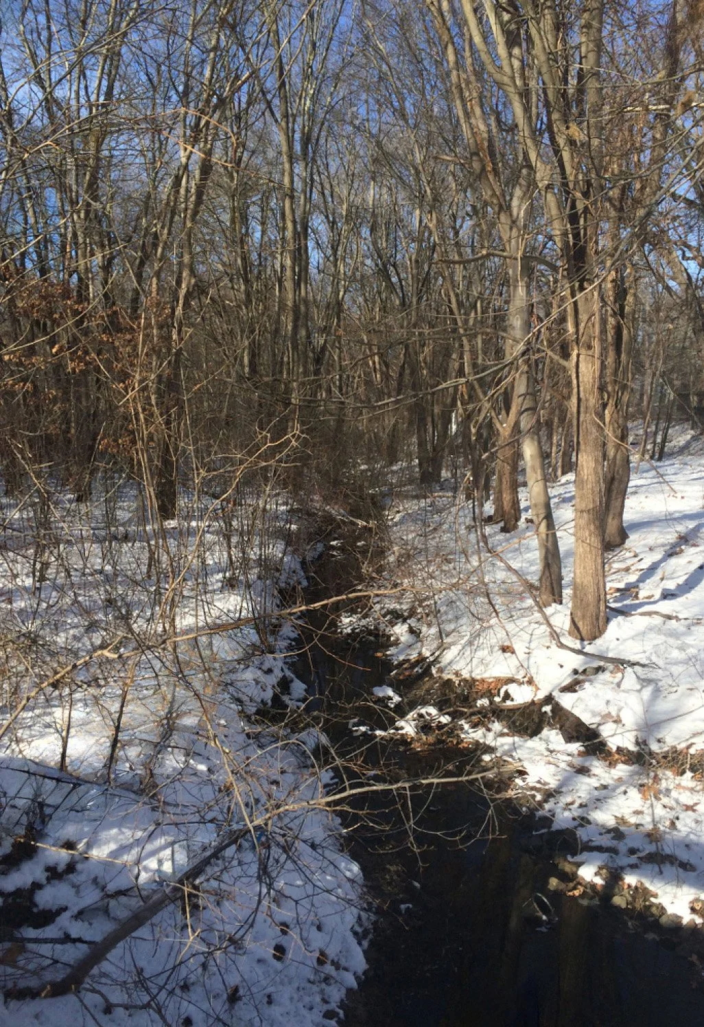 Melting Brook