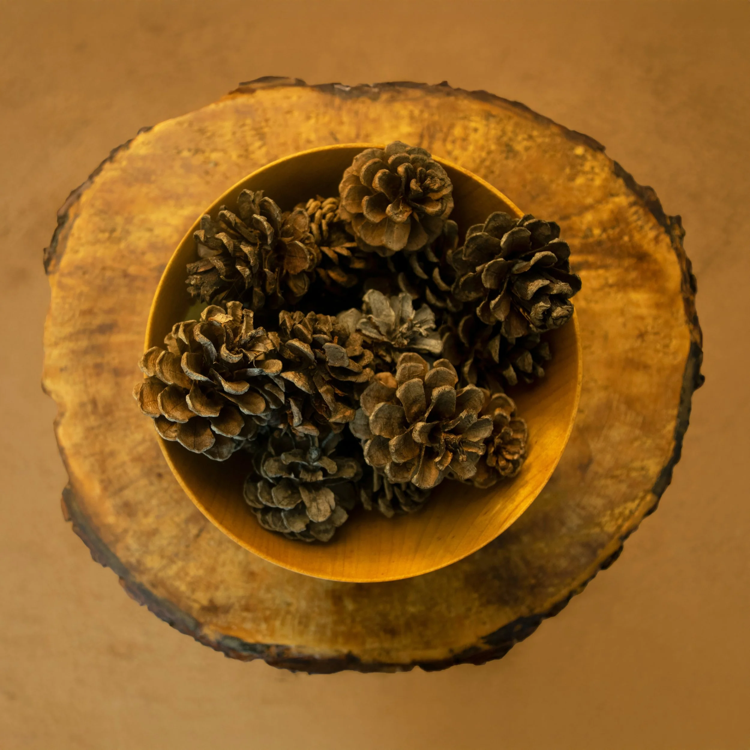 Pine Cones in Bowl on Table on Rug