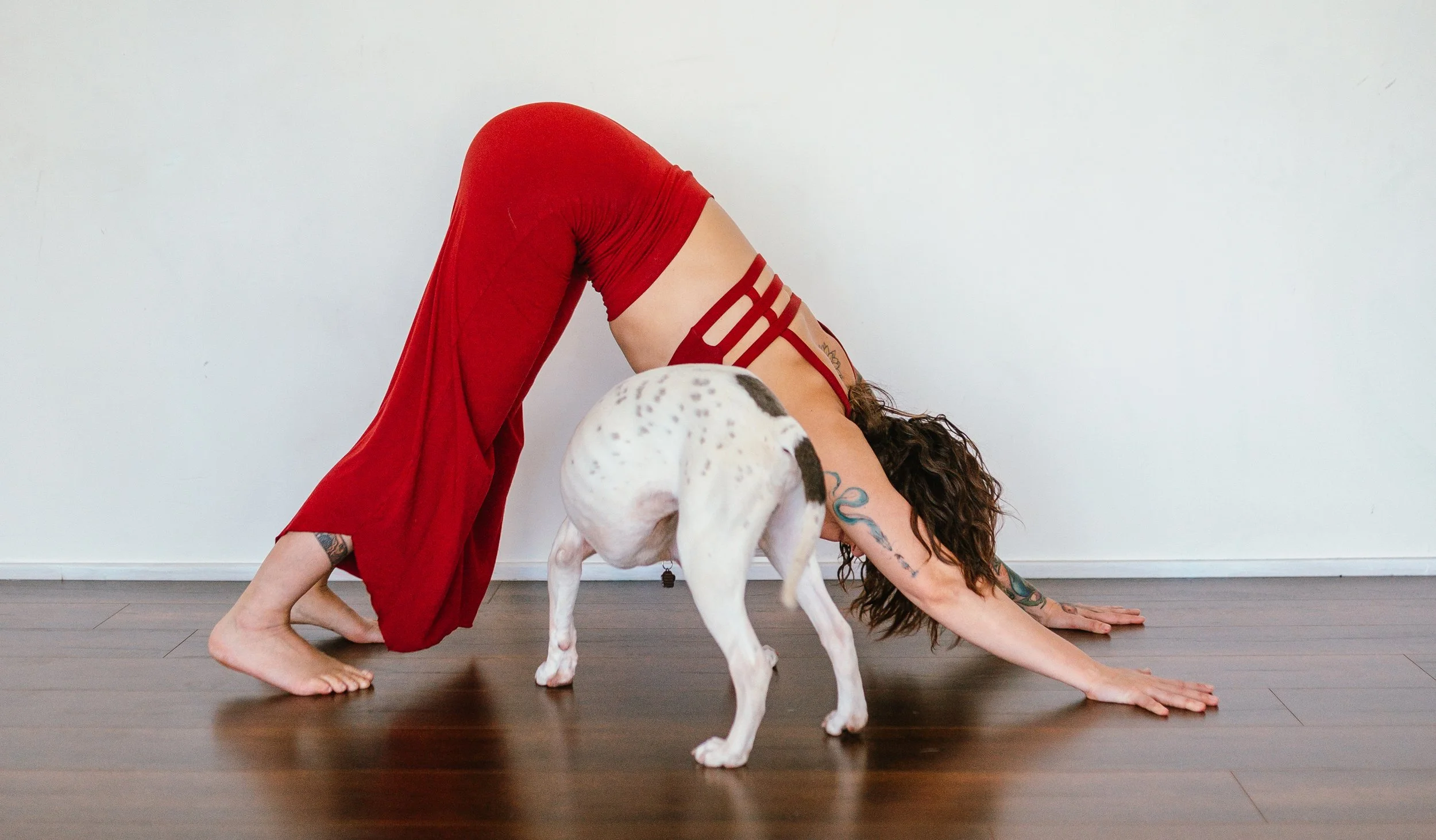 Woman practicing yoga in a split stretch pose on a yoga mat in a studio with blue botanical wall art.