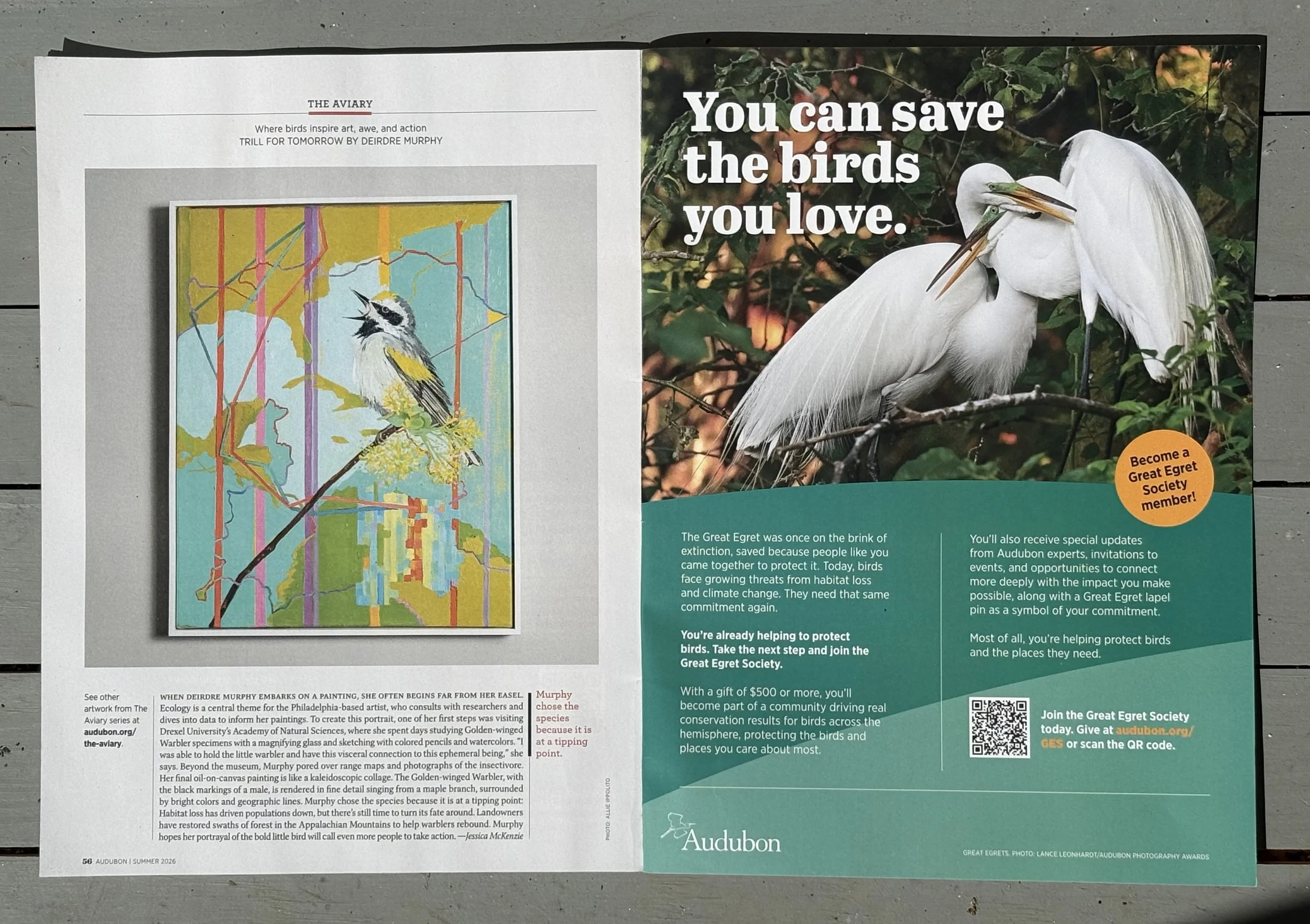 The Aviary Project magazine.jpg