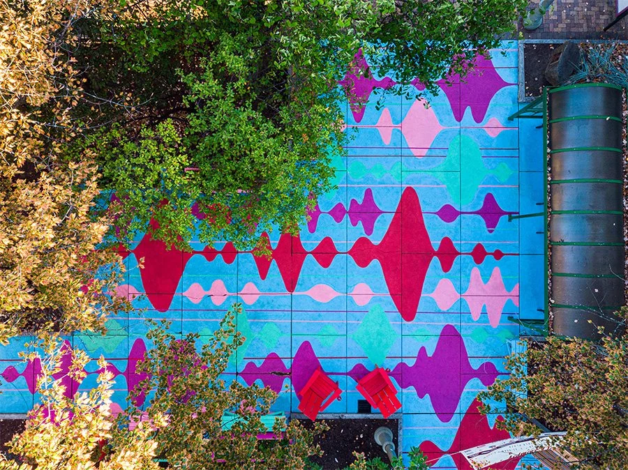 Bird Public Mural-251004-1-2-edited.jpg