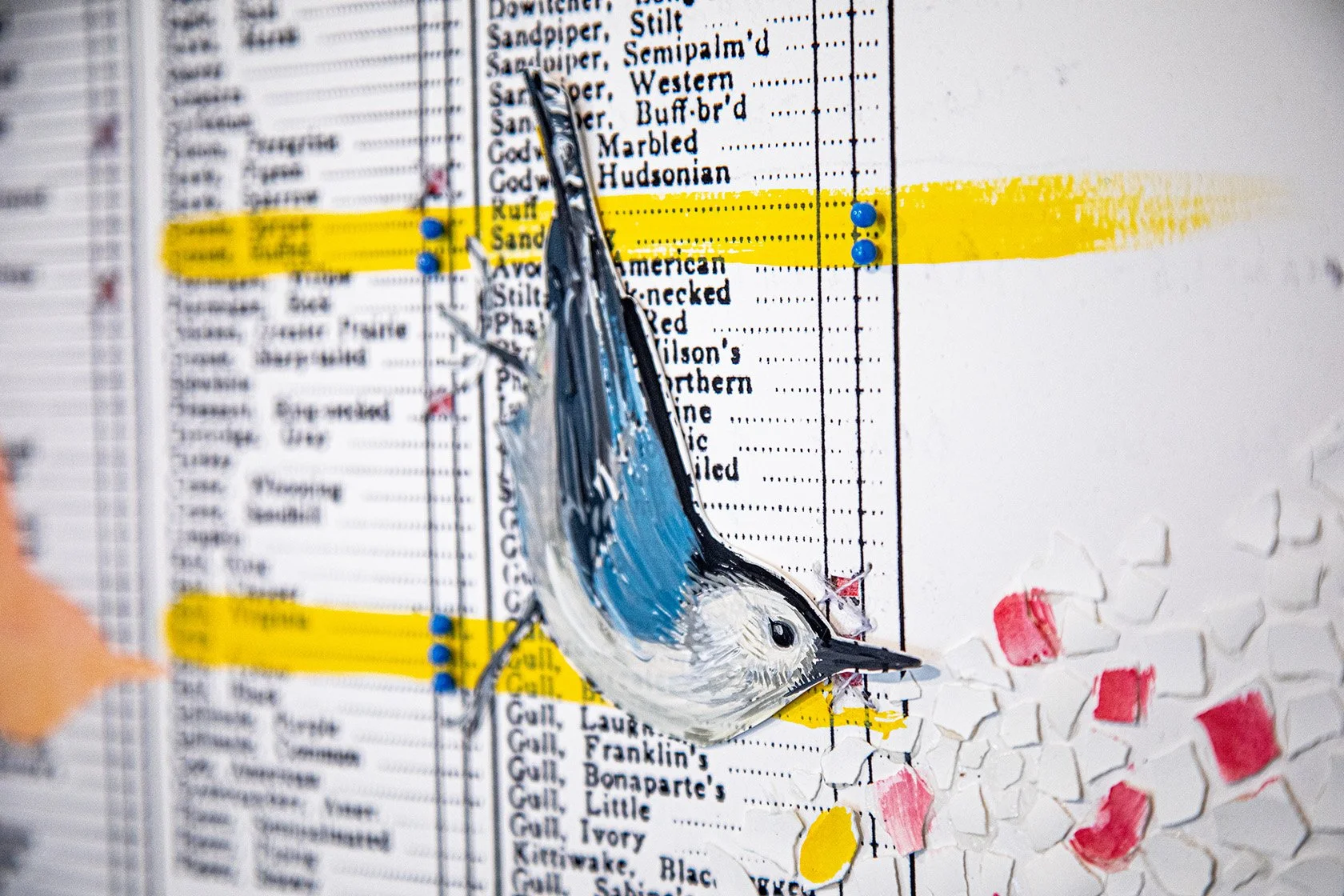 White Breasted (detail)