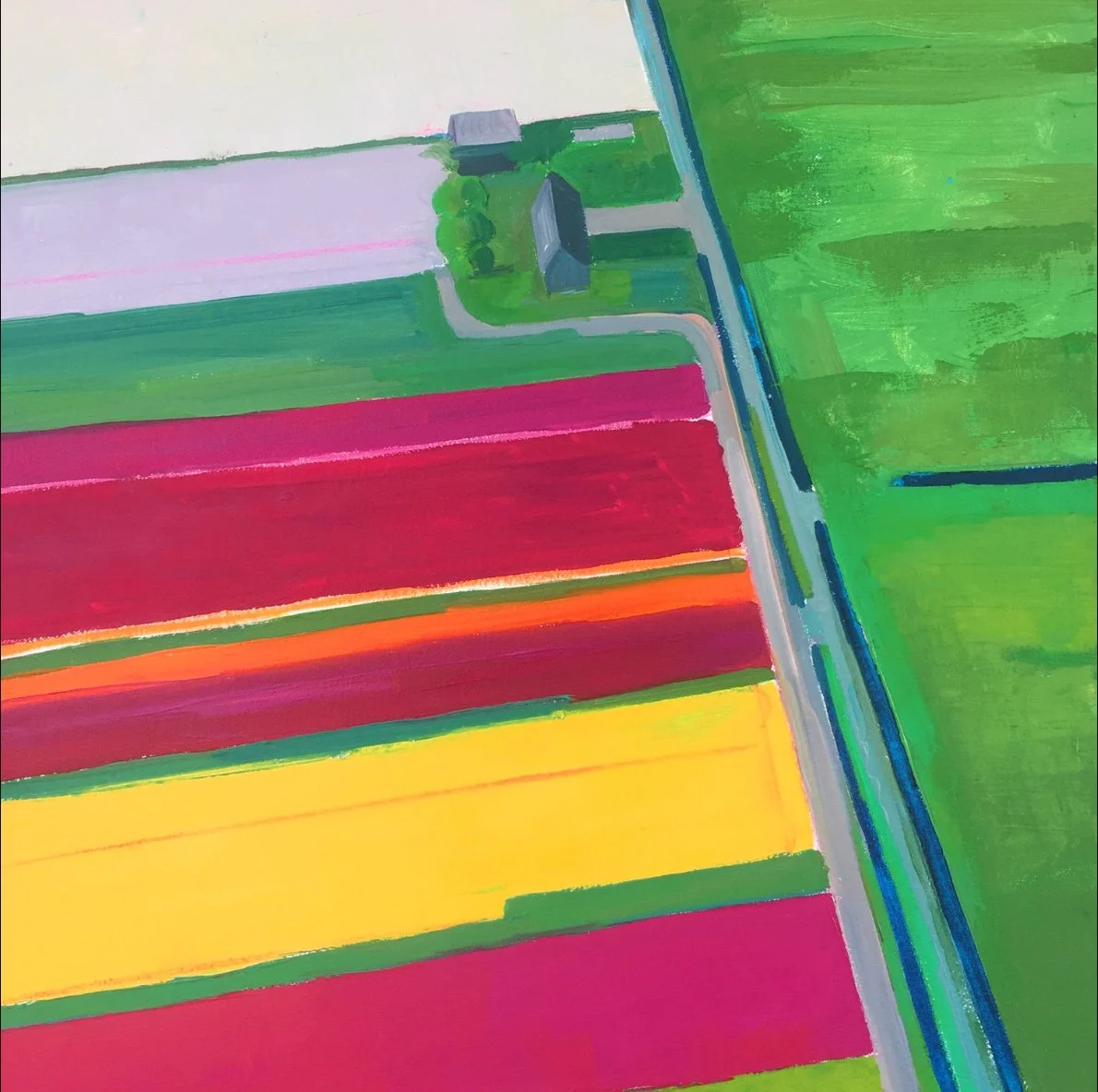 Tulip Fields  20" x 20" Oil on Canvas