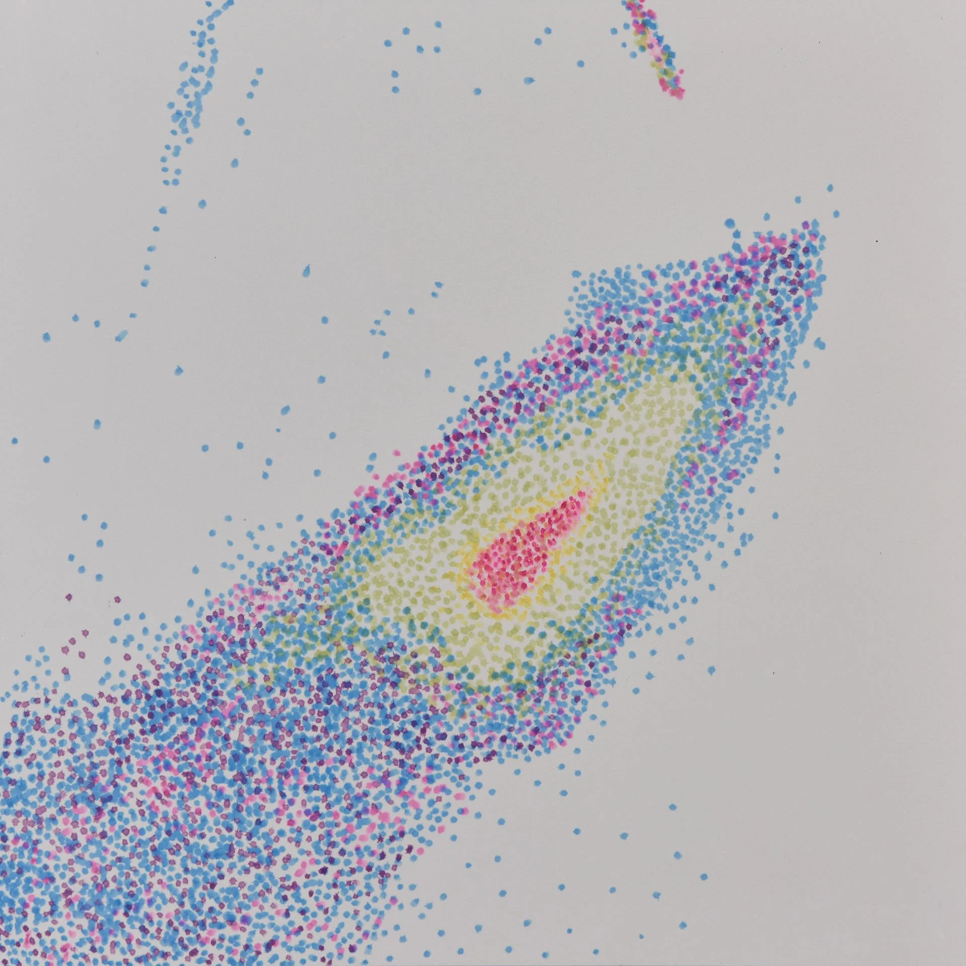Lab Studies  Cell Migration II
