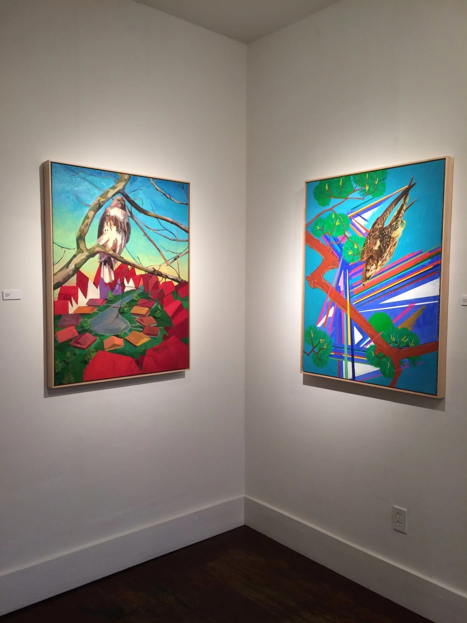 Two colorful abstract paintings of birds and nature displayed on white gallery walls.