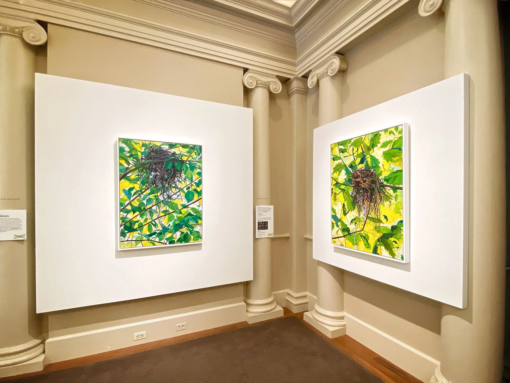 Two paintings of green plant foliage with a nest and hanging roots, displayed on white wall panels in an art gallery.