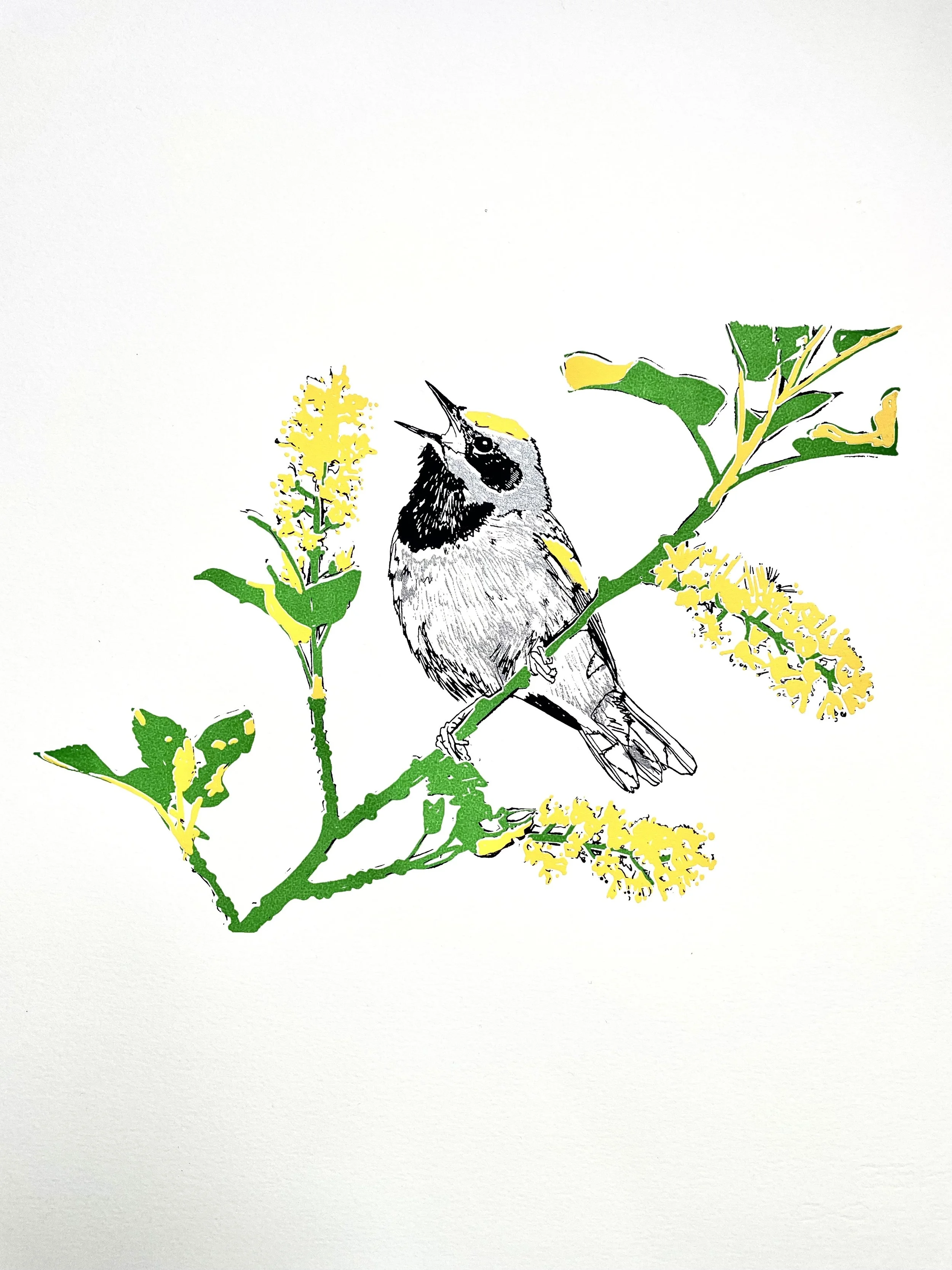  Dawn Chorus  16" x 15" Silk Screen 2026