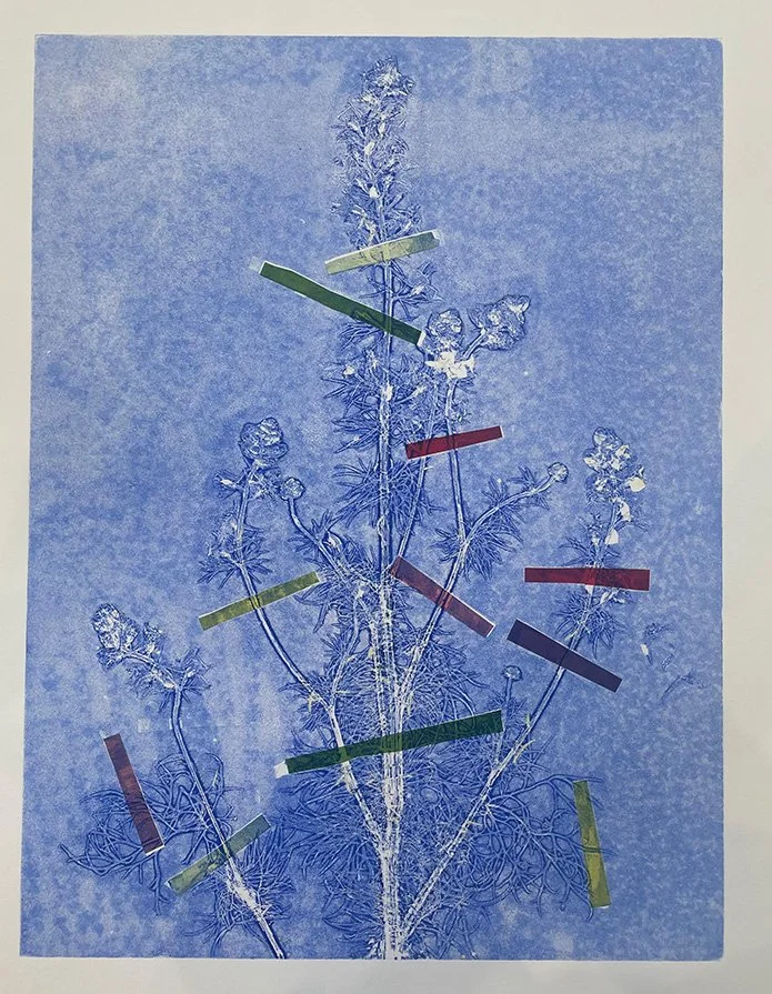 Lark Spur Blue Ghost  25 x 20 inches Monoprint on Paper