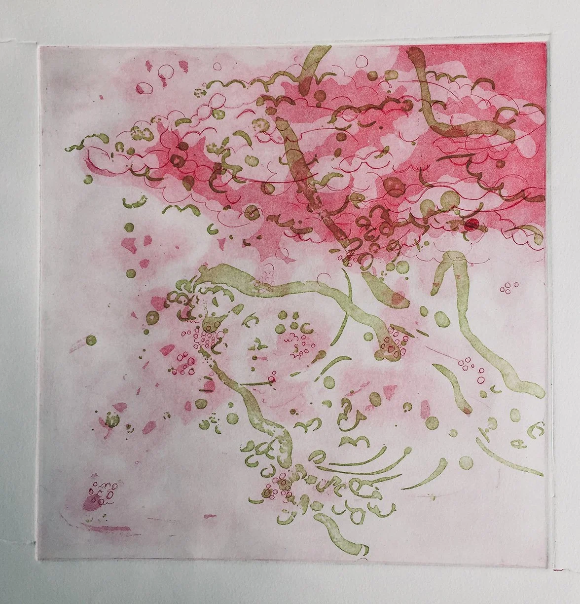 Springfruit Etching 2