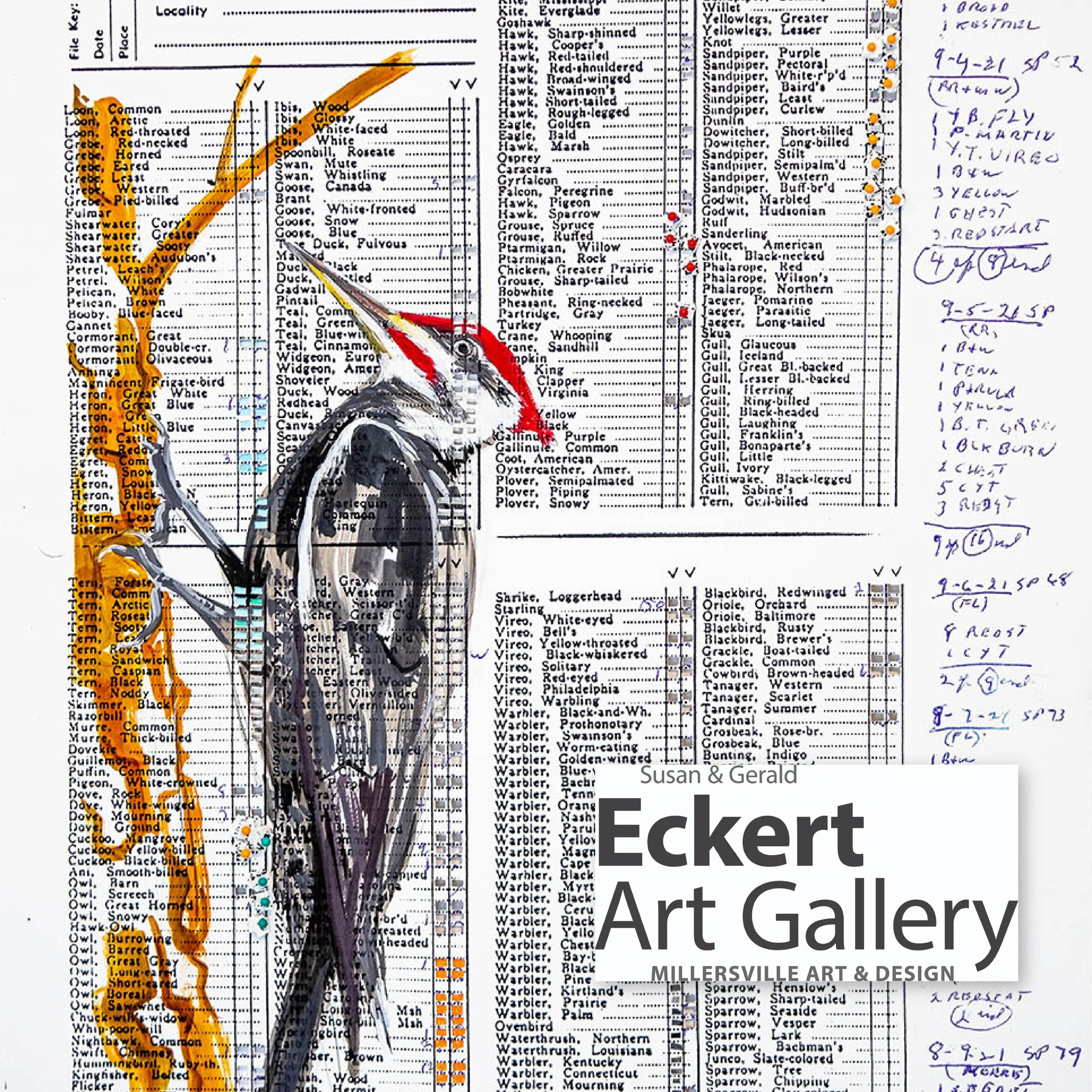 Field Notes: Learning to See