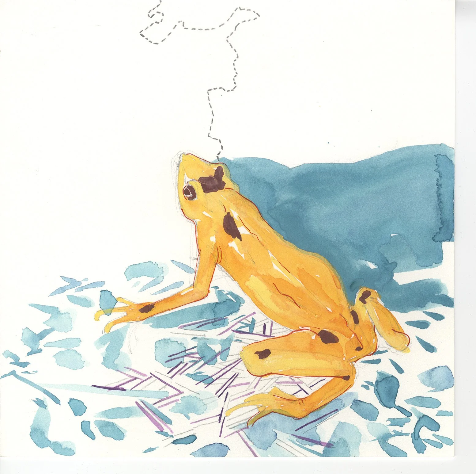 Golden Frog  10" x 10" Gouache on Paper 2006