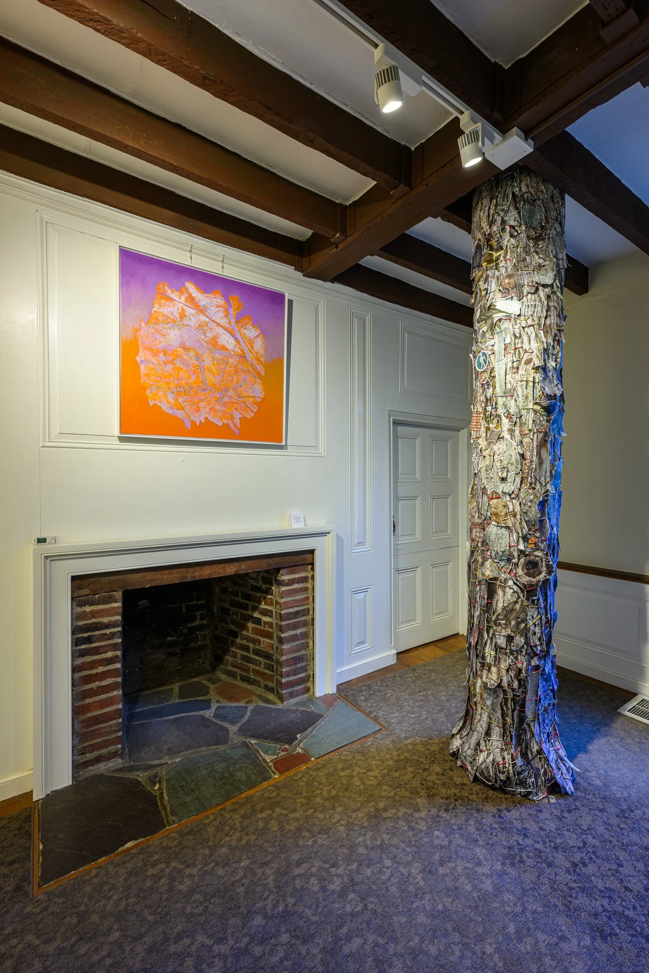 DMurph-Audobon-260504-0115.jpg