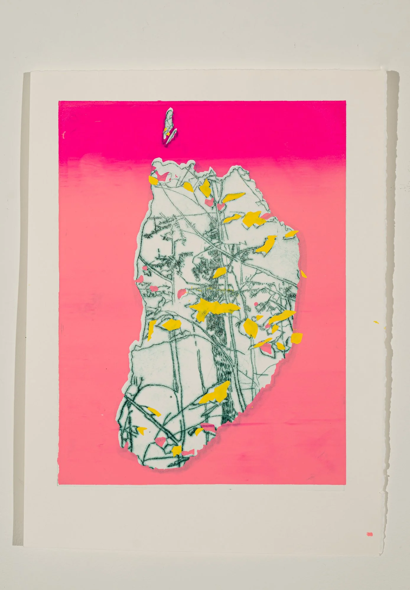Silkscreen & Intaglio