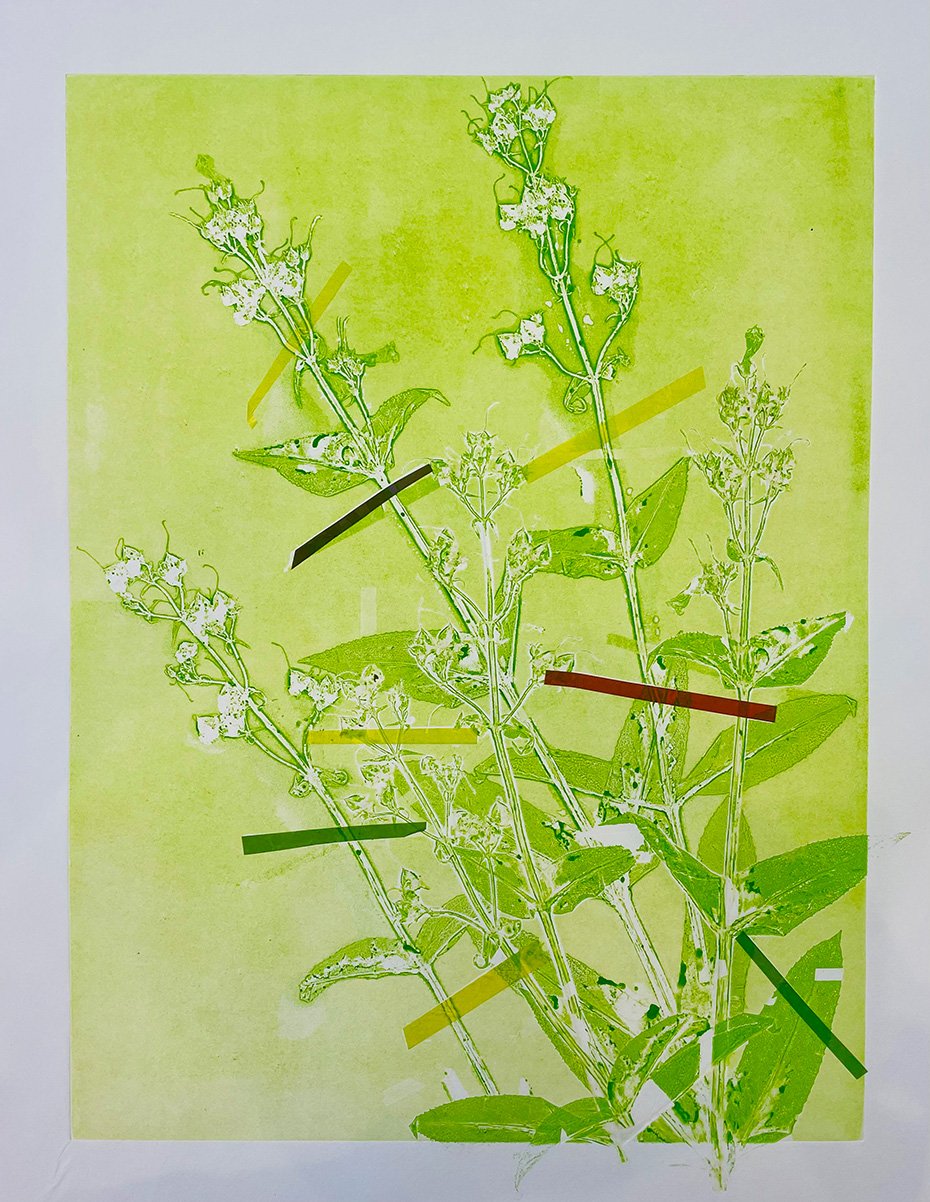 Penstemon Green Ghost