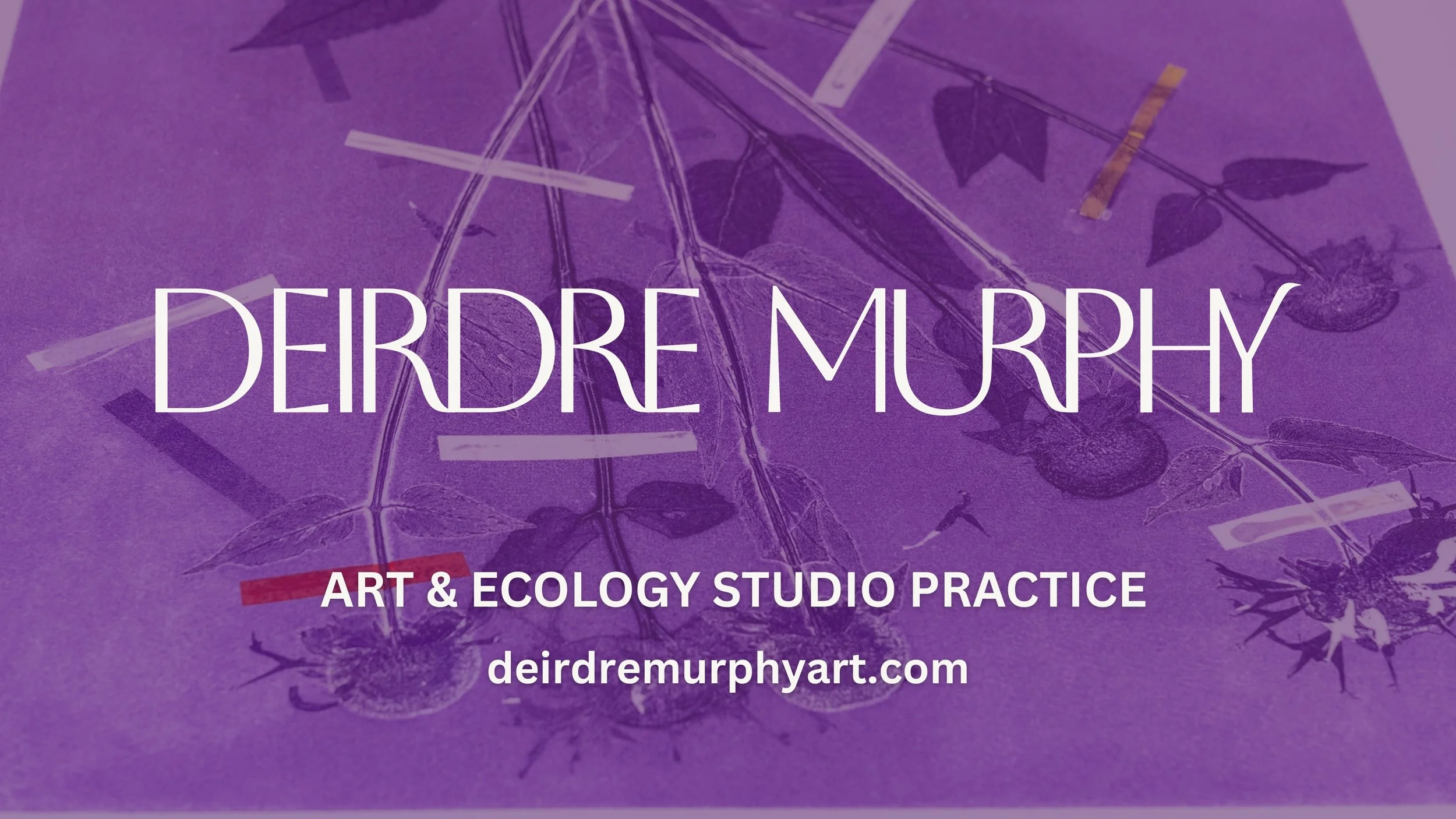 dm_studio_2025.jpg