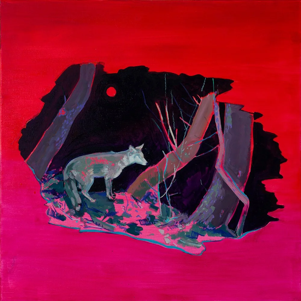 Strawberry Moon Fox  20" x 20" Oil on Canvas 2024