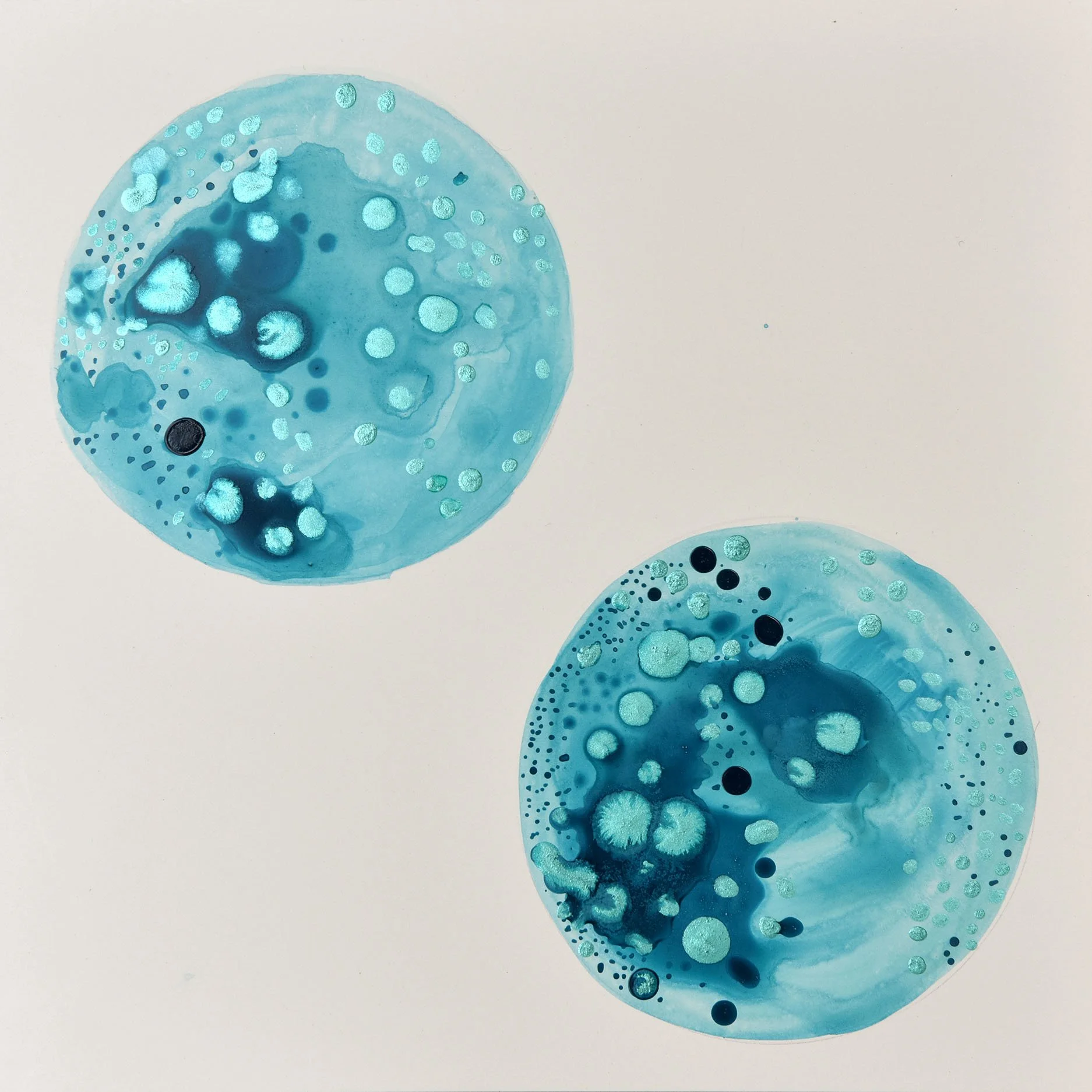 Lab Studies  Blue Lab Study