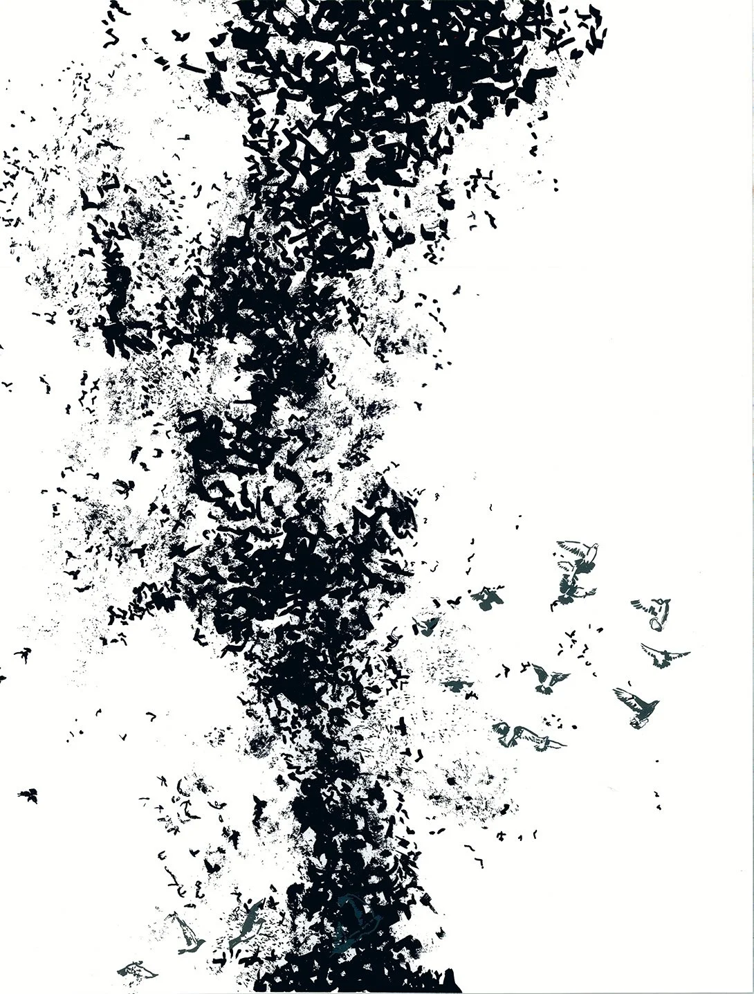 Black and White Swarm