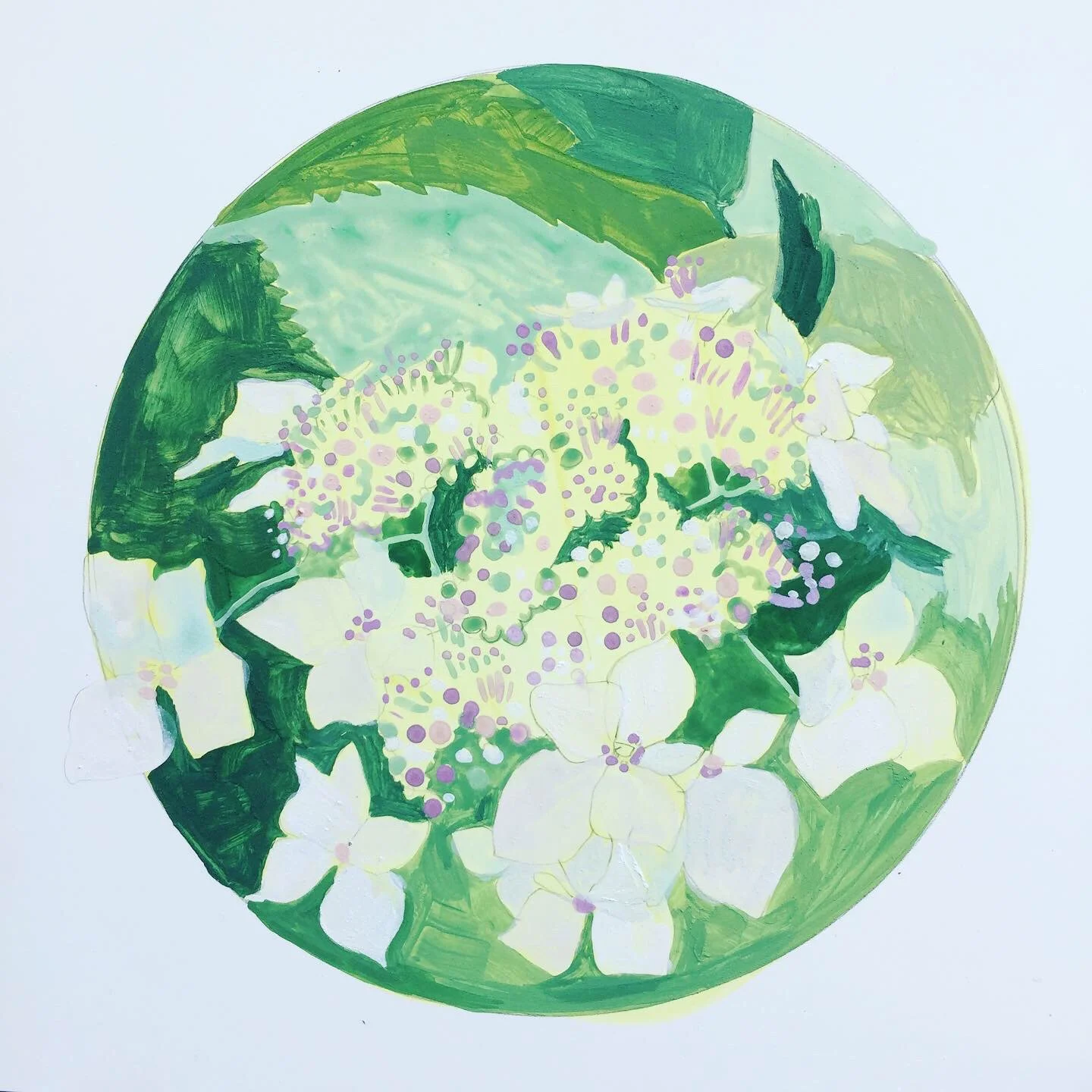 Hydrangeas  10" x 10" Acrylic on Panel 2019