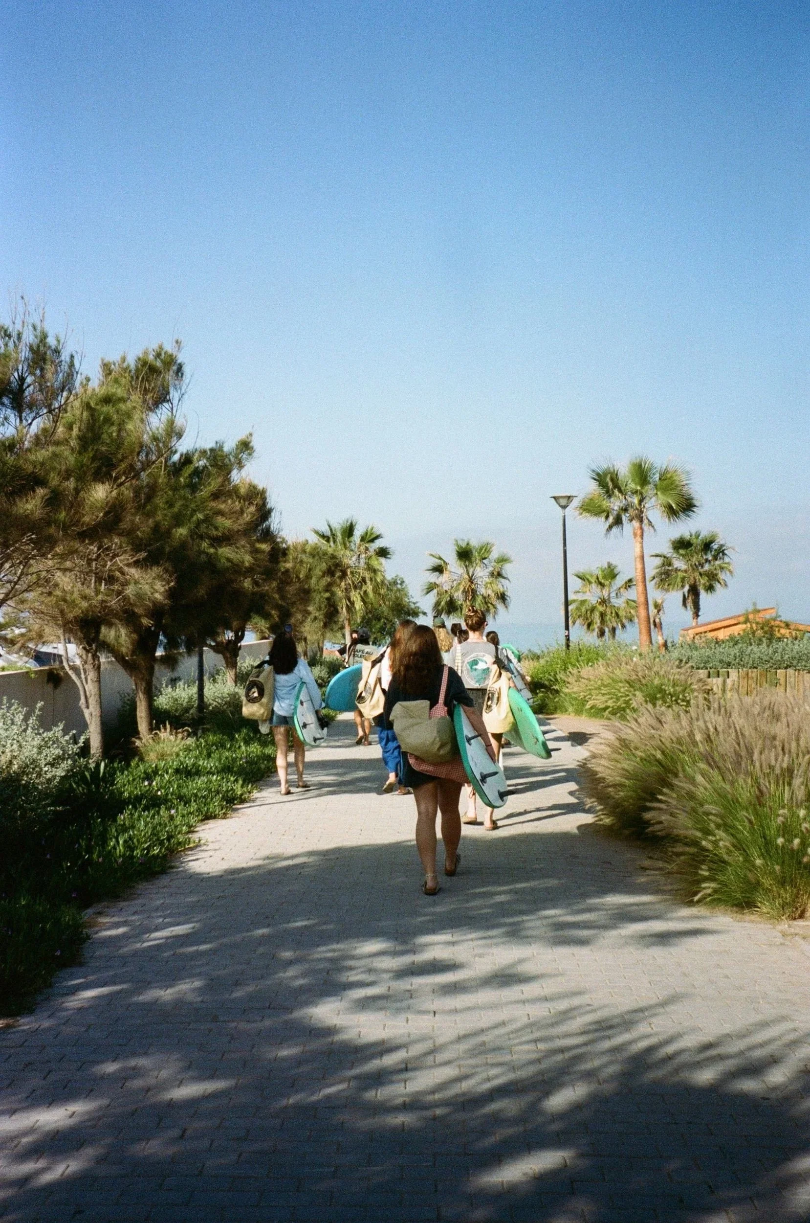 Groupe de personnes avec des planches de surf marchant sur un chemin pavé dans une zone verdoyante avec des palmiers, ciel clair et ensoleillé.
