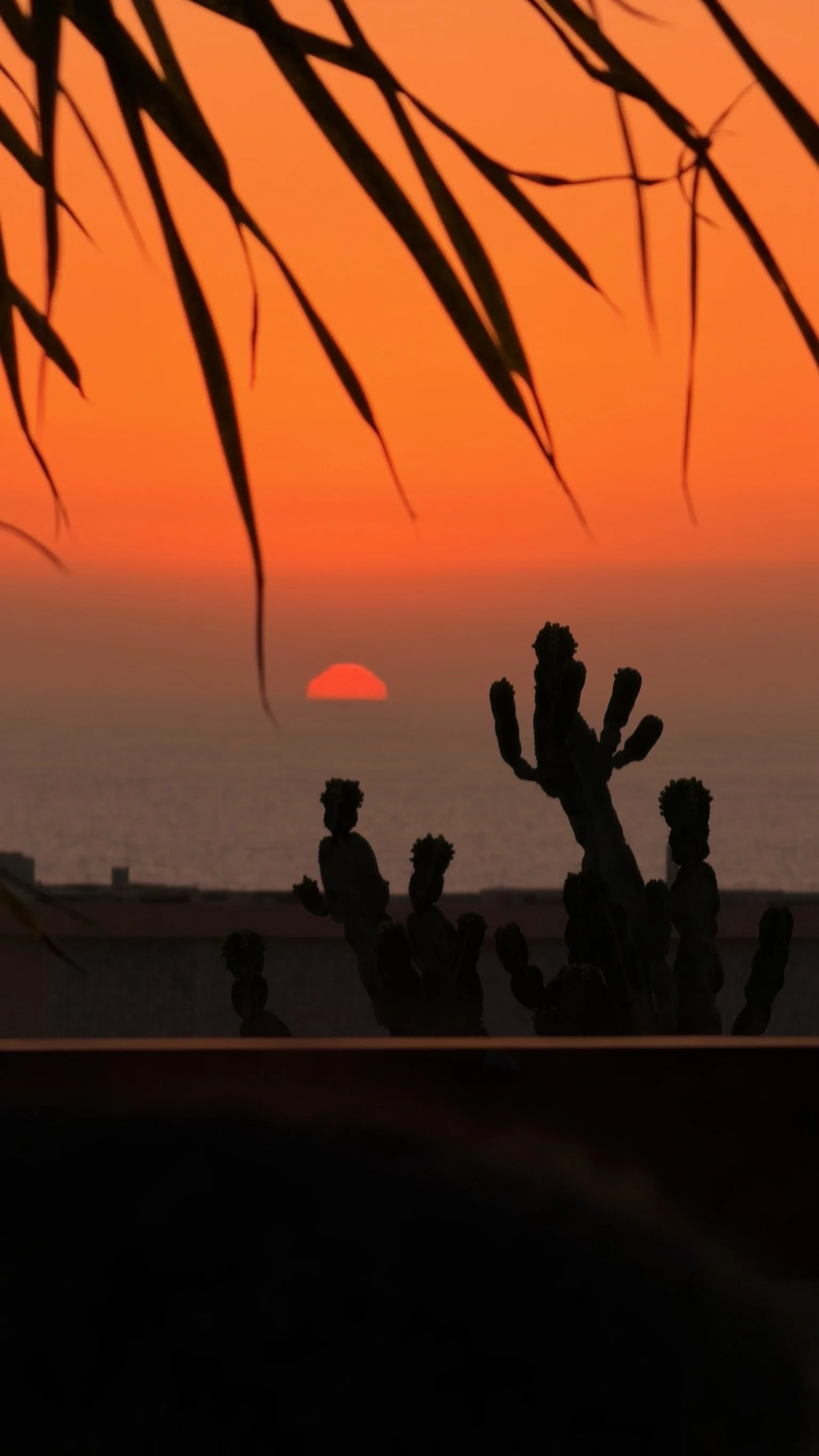 Sunset vue de la guesthouse à Tamraght 