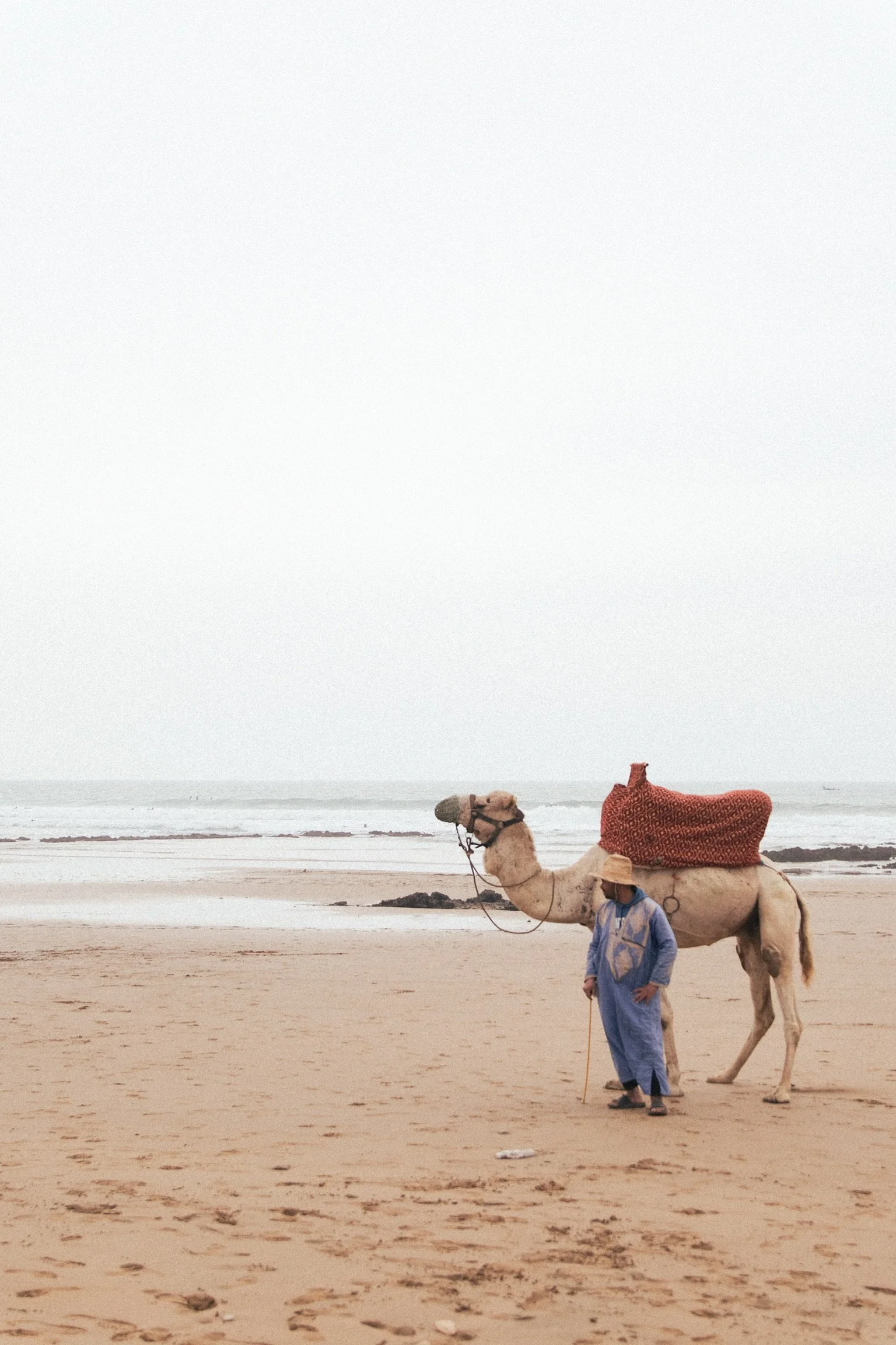 Dromadaire sur une plage marocaine, accompagné d’un guide en tenue traditionnelle, avec l’océan en arrière-plan dans une ambiance calme et dépaysante.