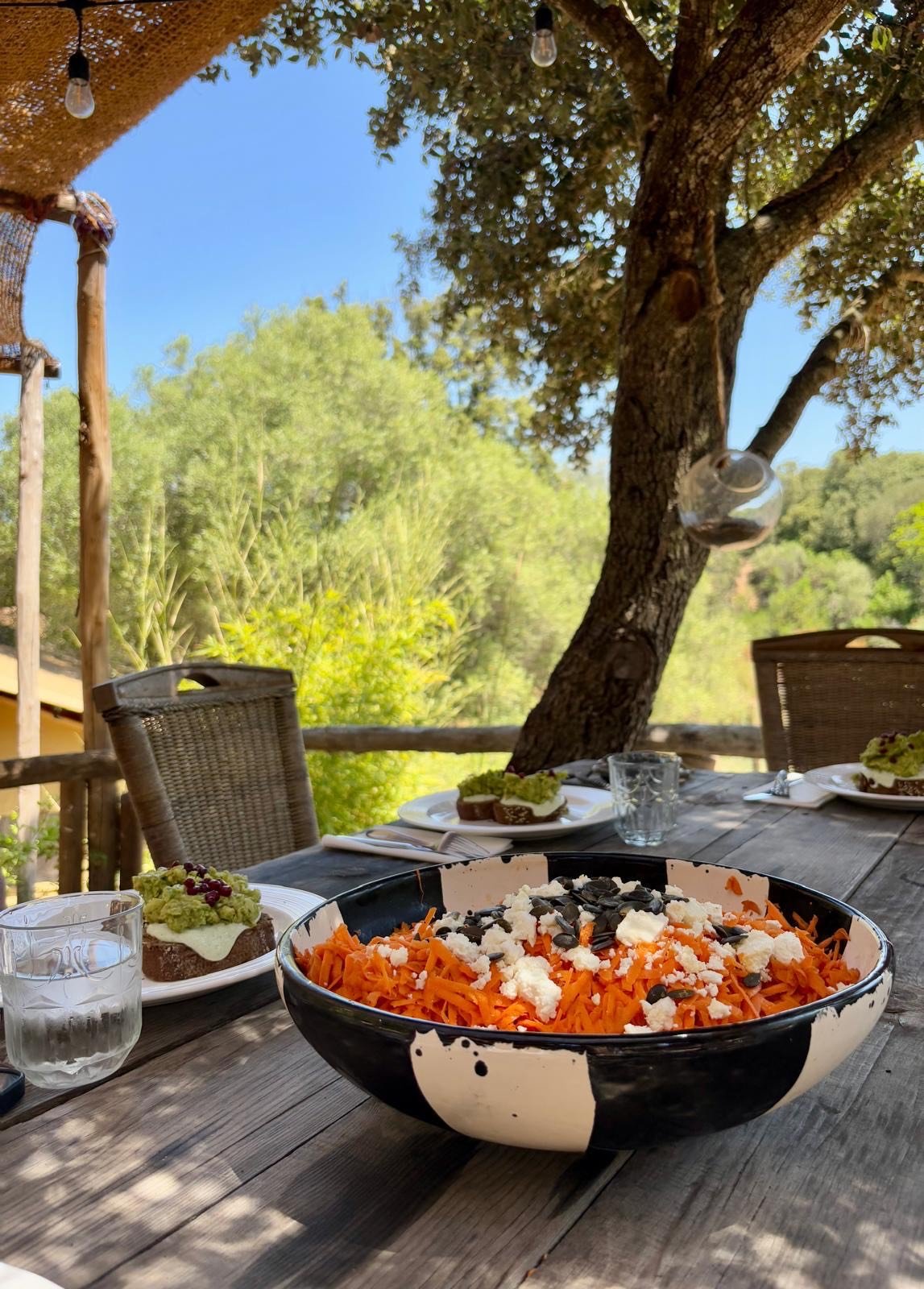 Une table en bois avec un grand bol de salade de carottes, feta, graines de tournesol, assiettes avec du pain garni d'avocat, verres d'eau, sous un arbre avec des lumières suspendues dans un cadre extérieur naturel.