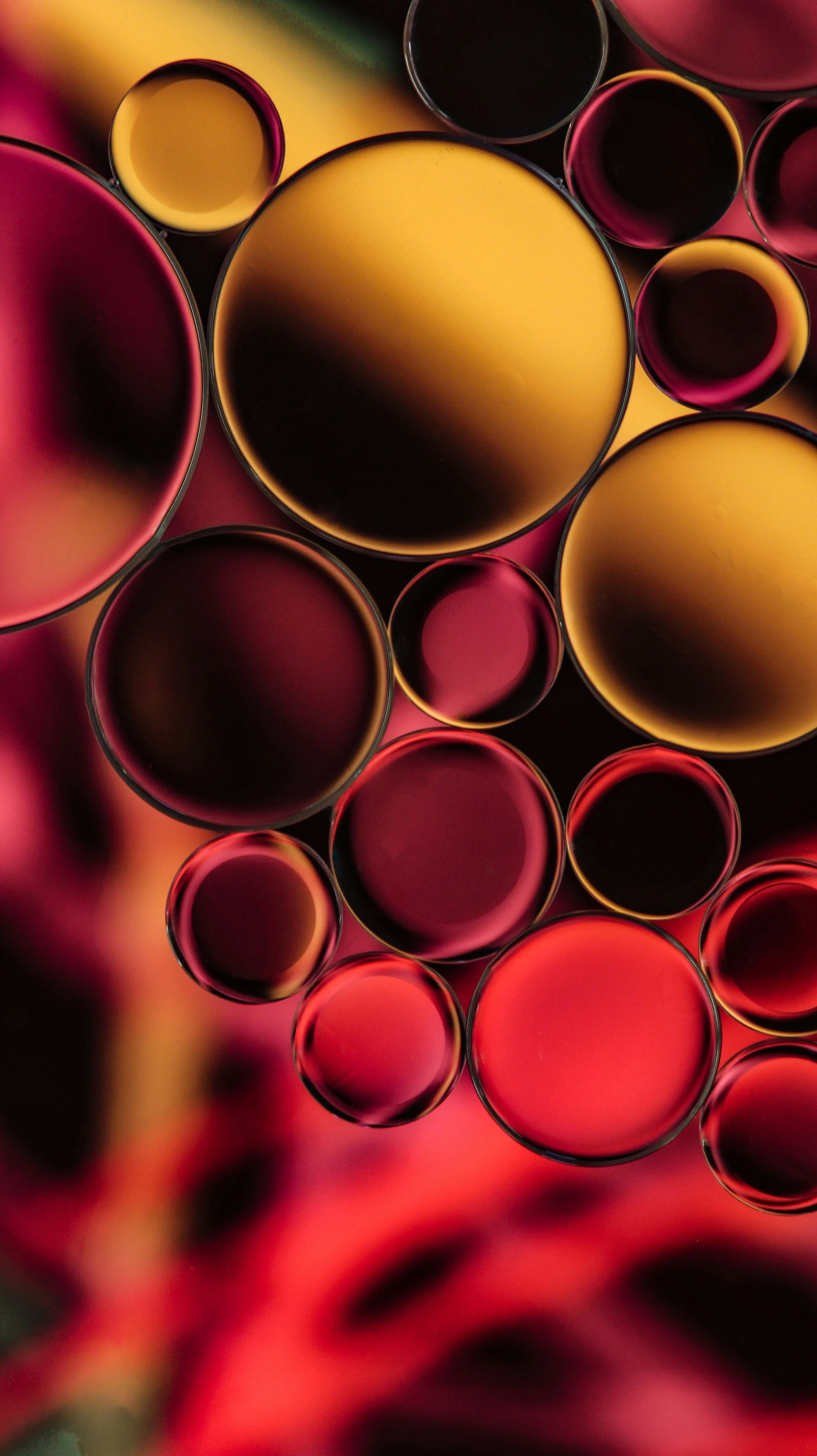 Philanthropy is Accelerating Psychedelic Research