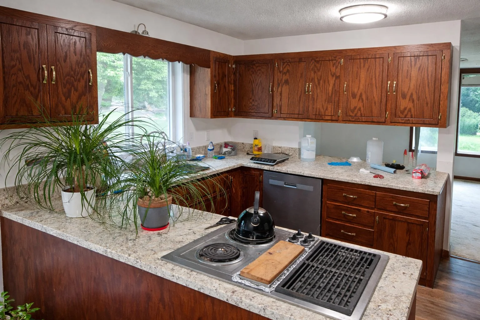 Thomas Ave | Before Renovation