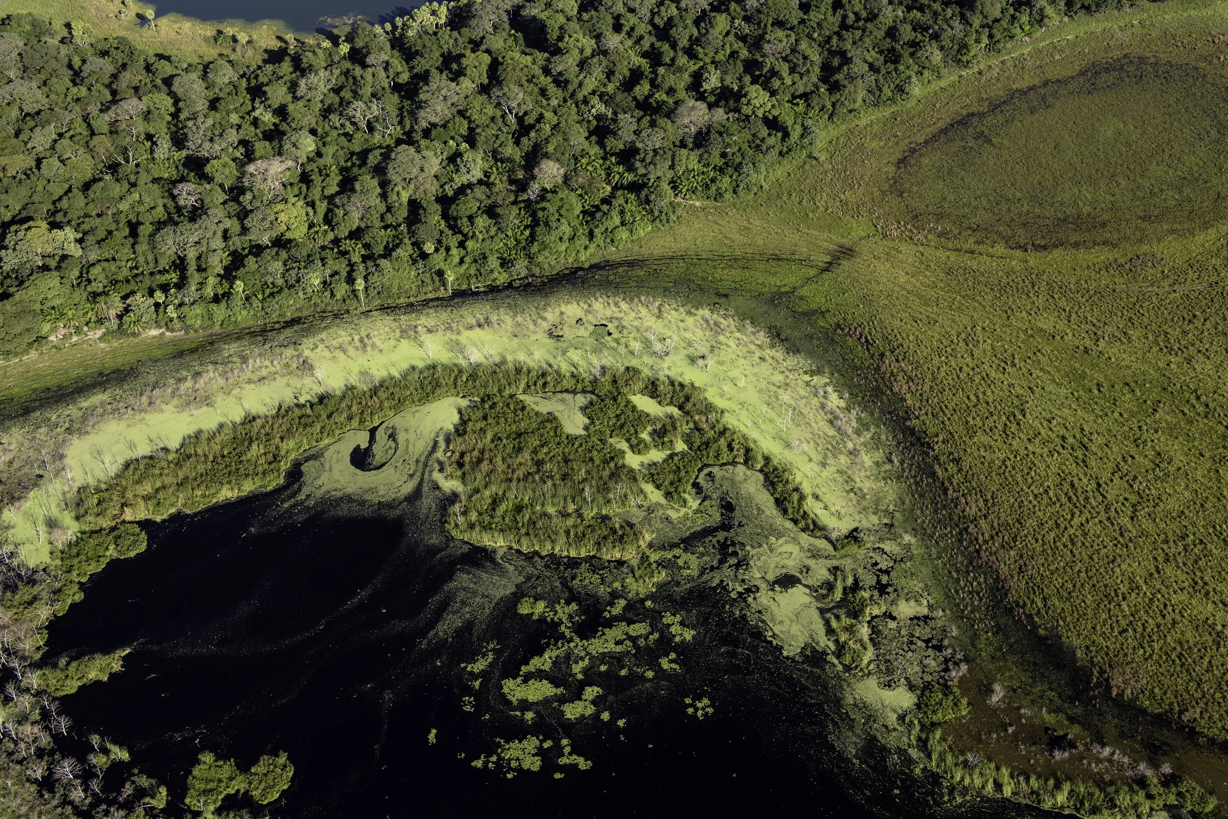 LC_PANTANAL_8.JPG