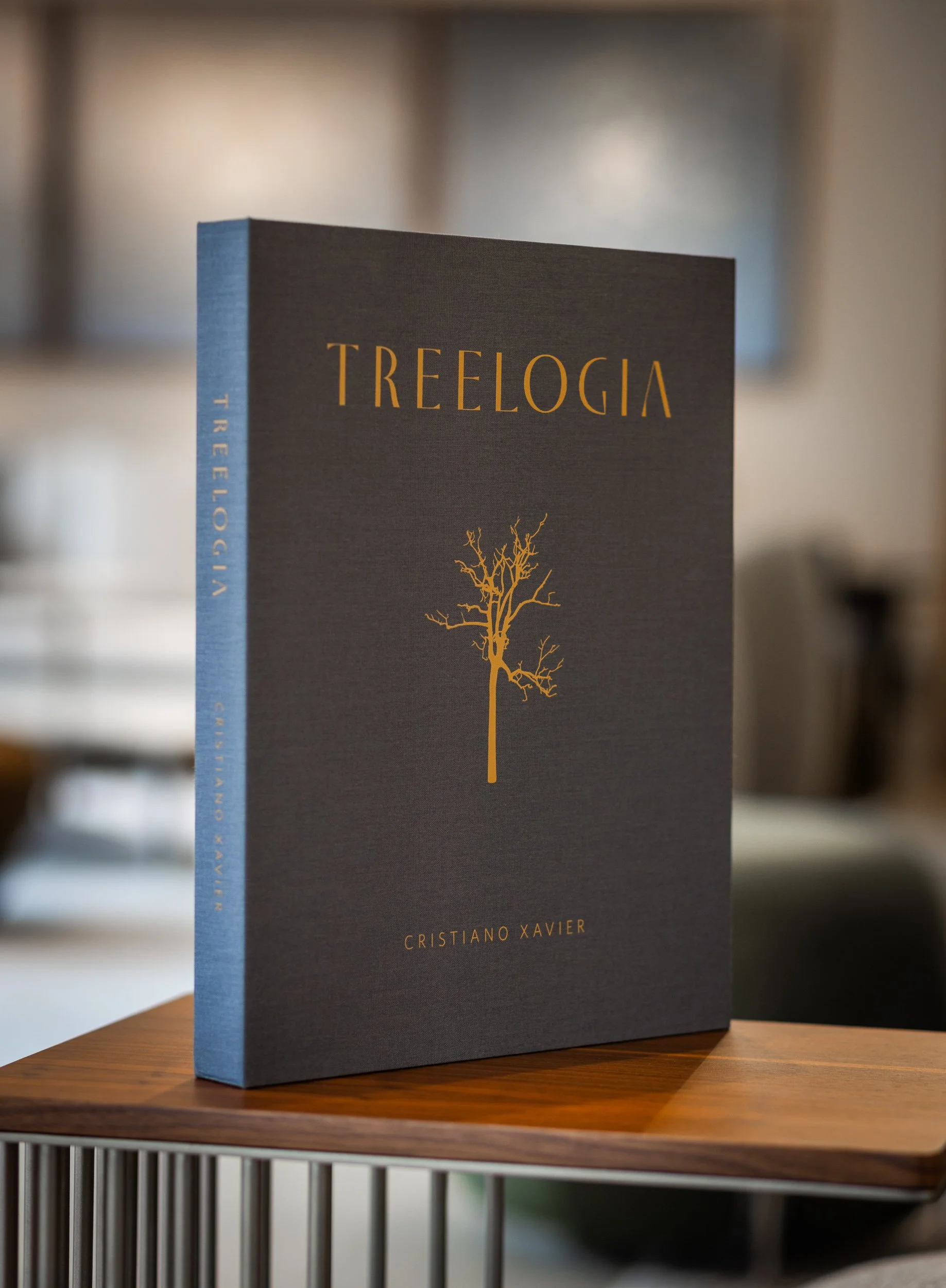 Treelogia caixa luxo-5185.jpg