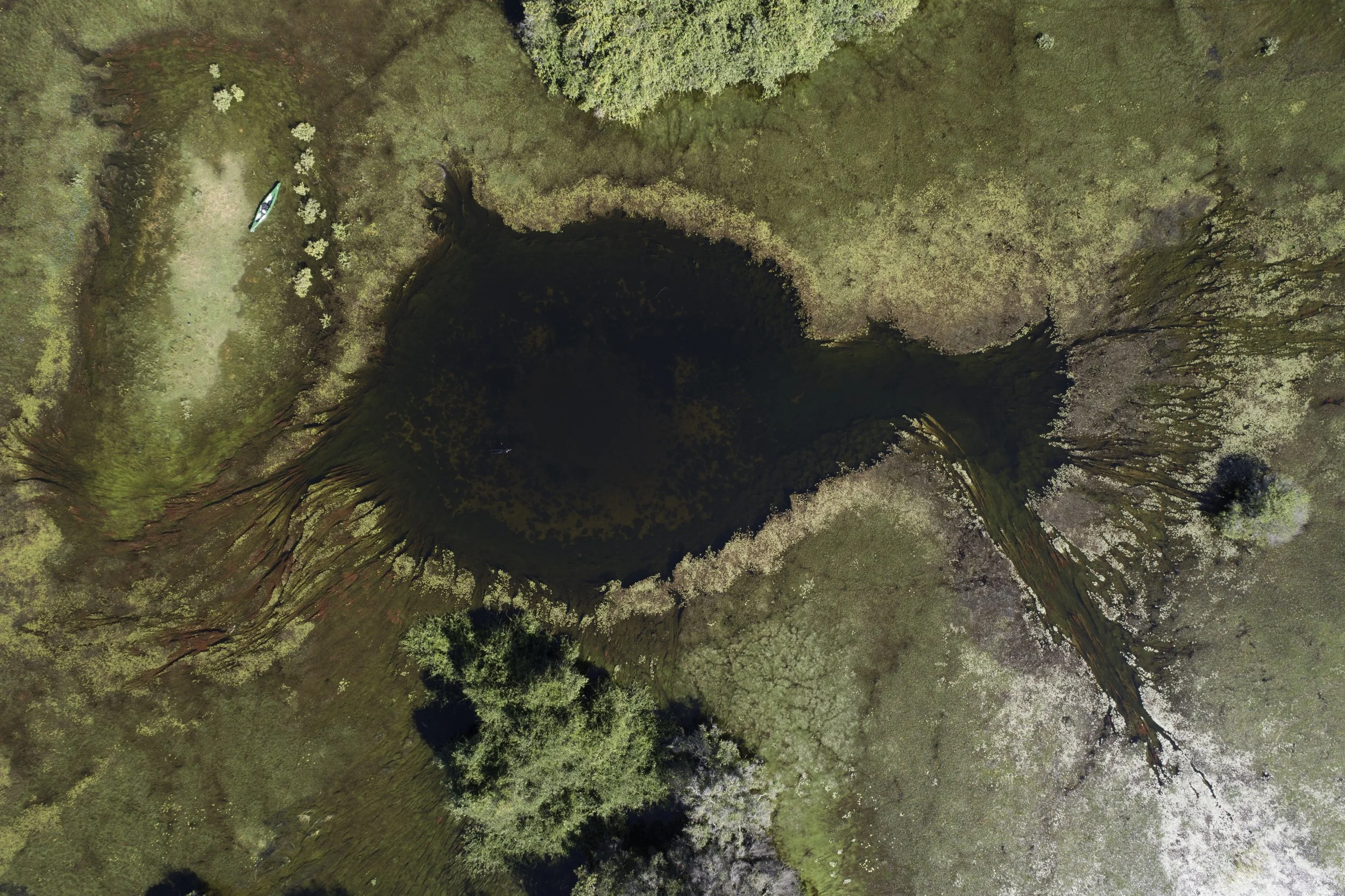 LC_PANTANAL_78.JPG