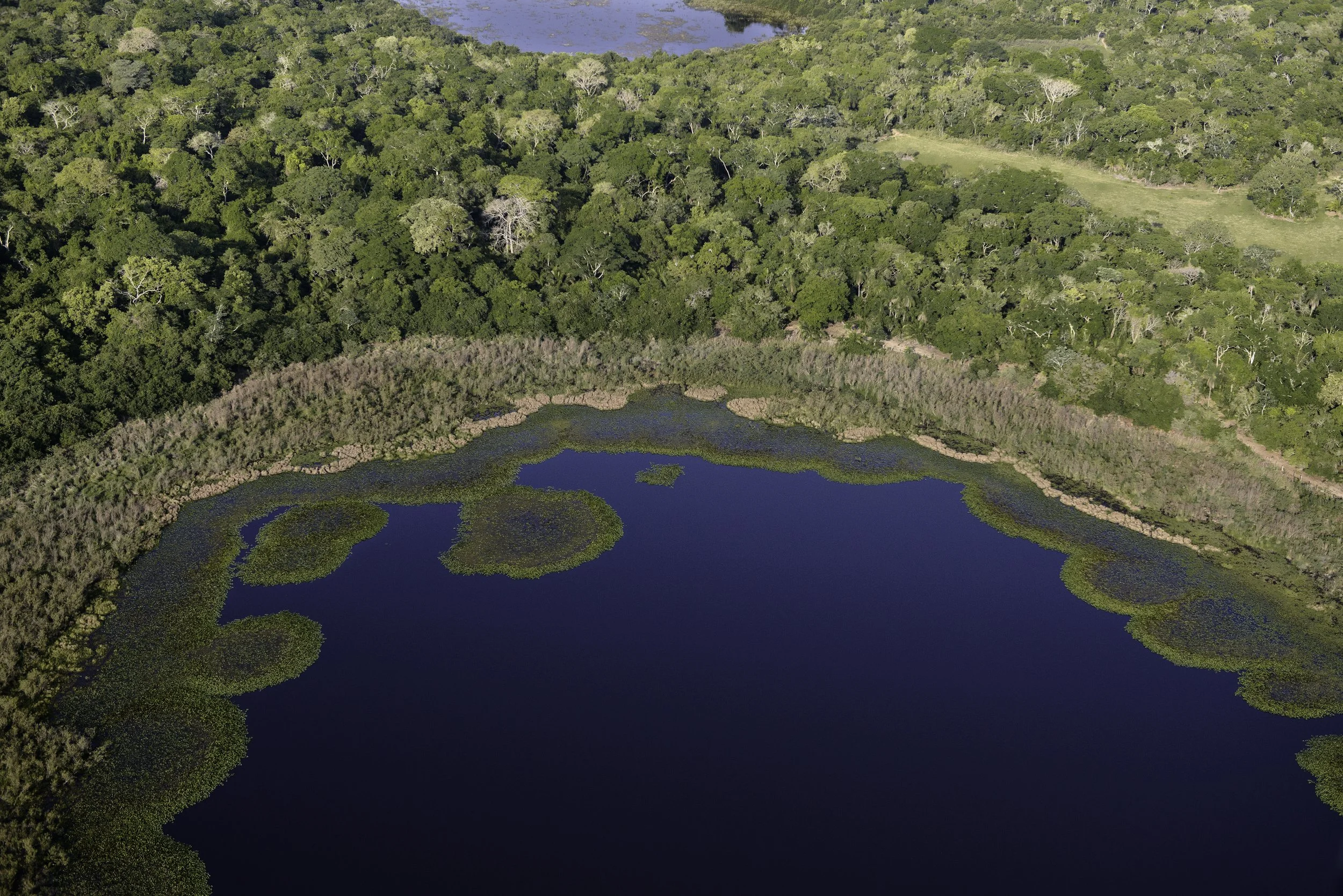 LC_PANTANAL_1.JPG