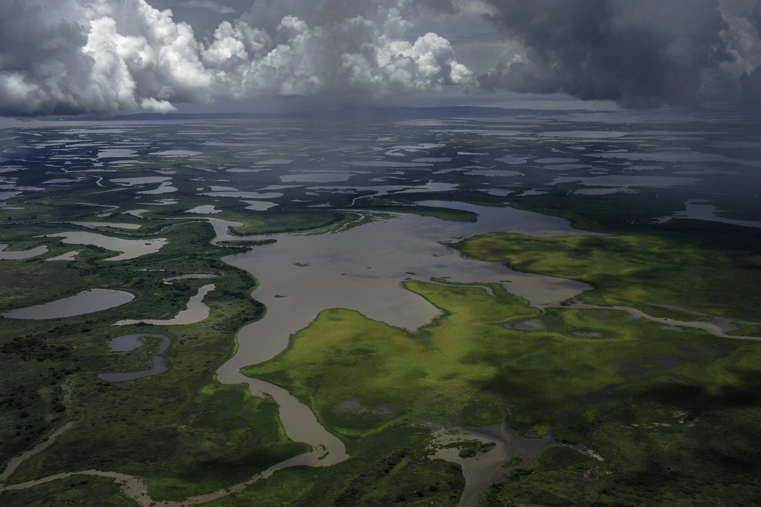 LC_PANTANAL_30.JPG
