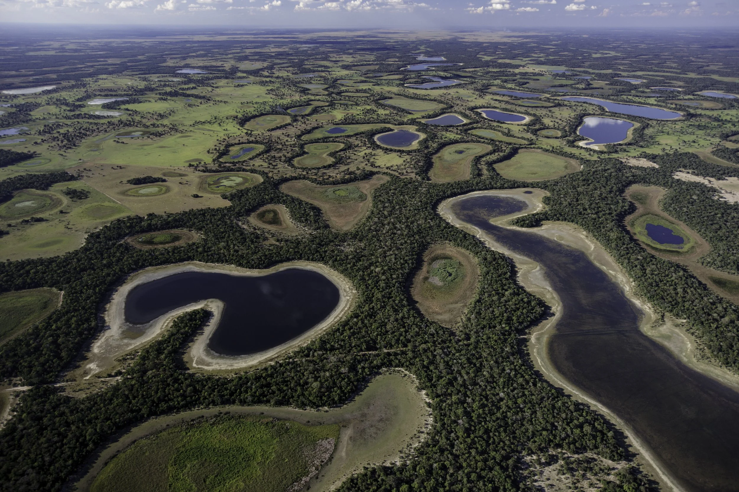 LC_PANTANAL_117.JPG