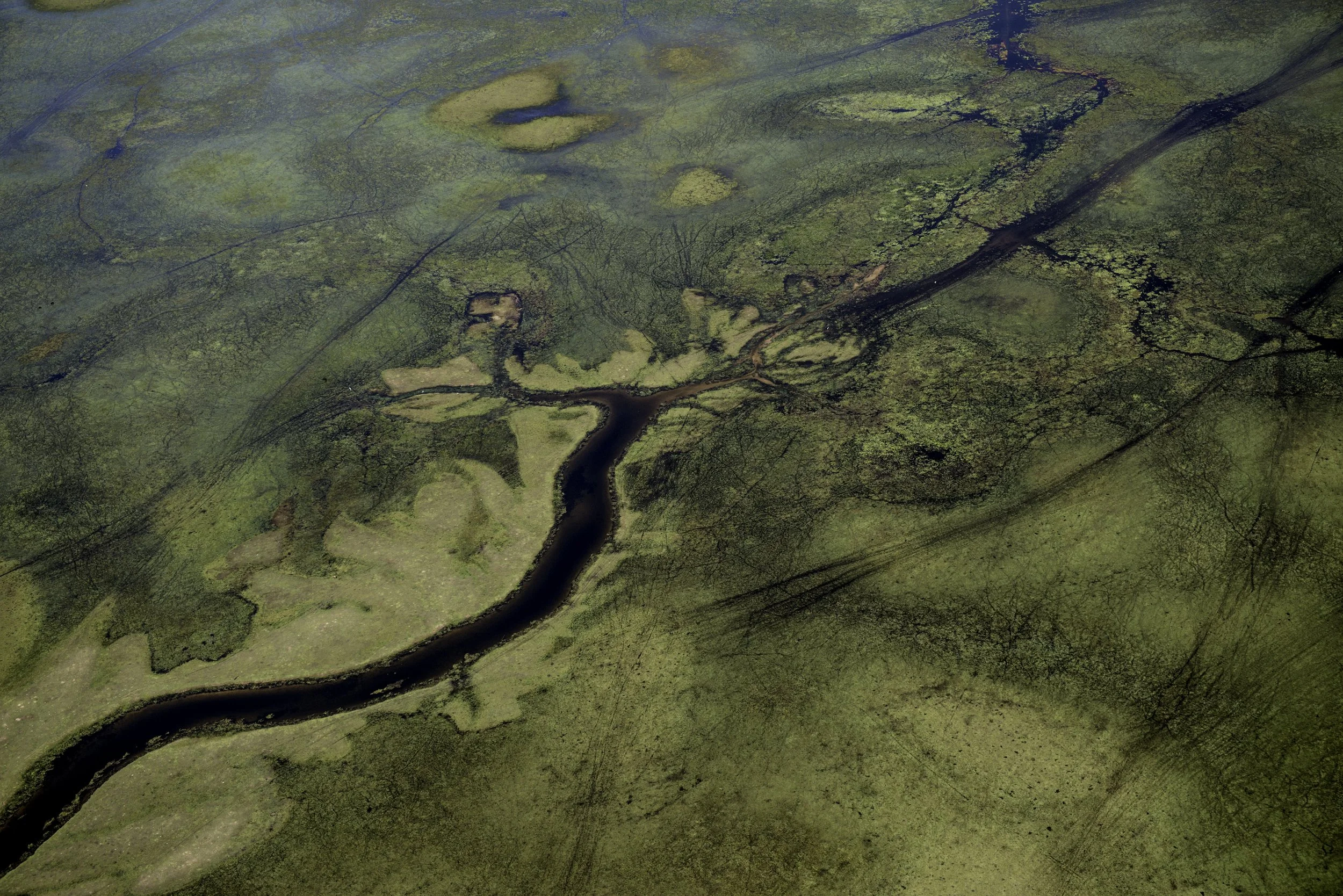 LC_PANTANAL_28.JPG