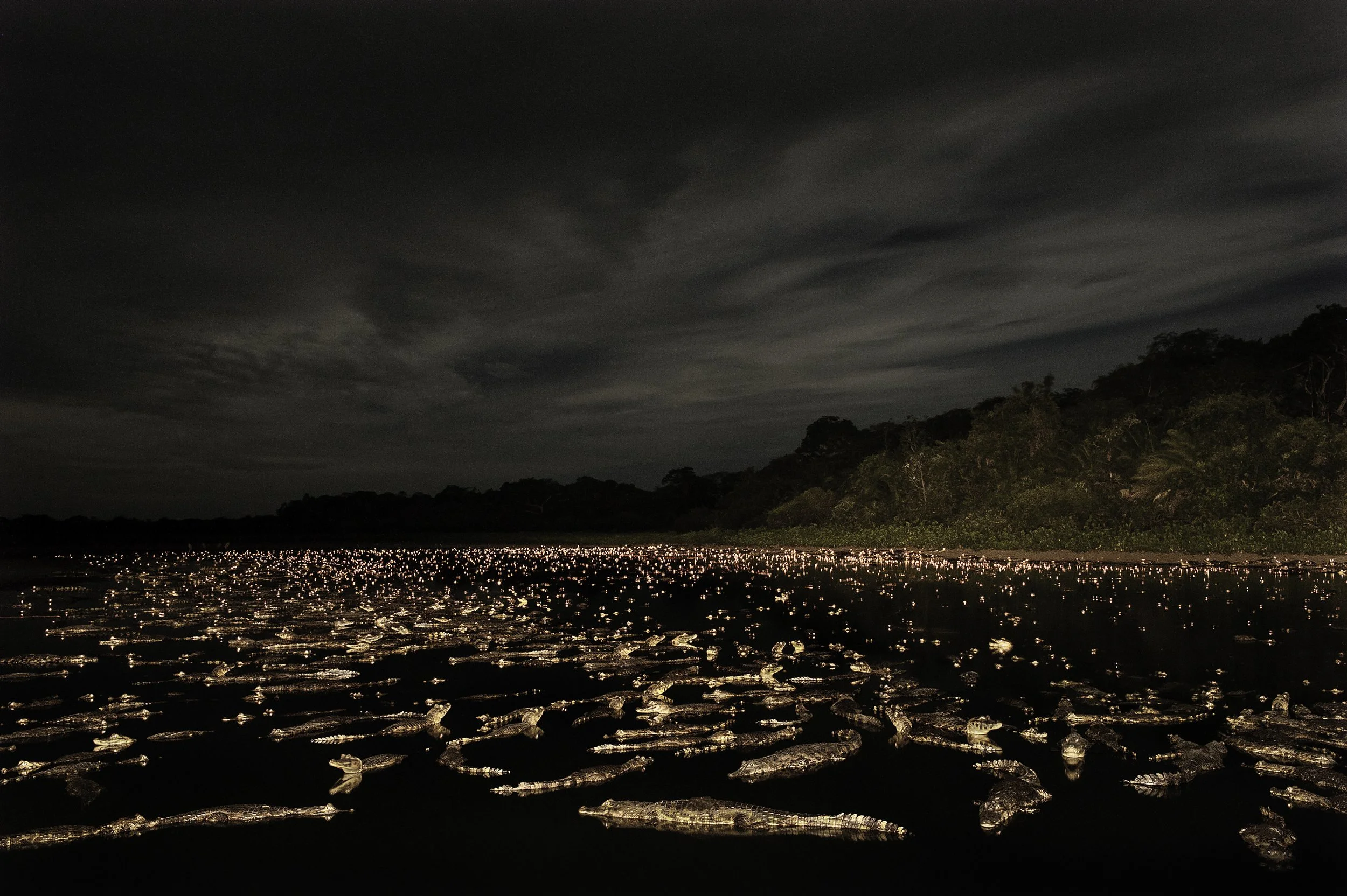 LC_PANTANAL_82.JPG