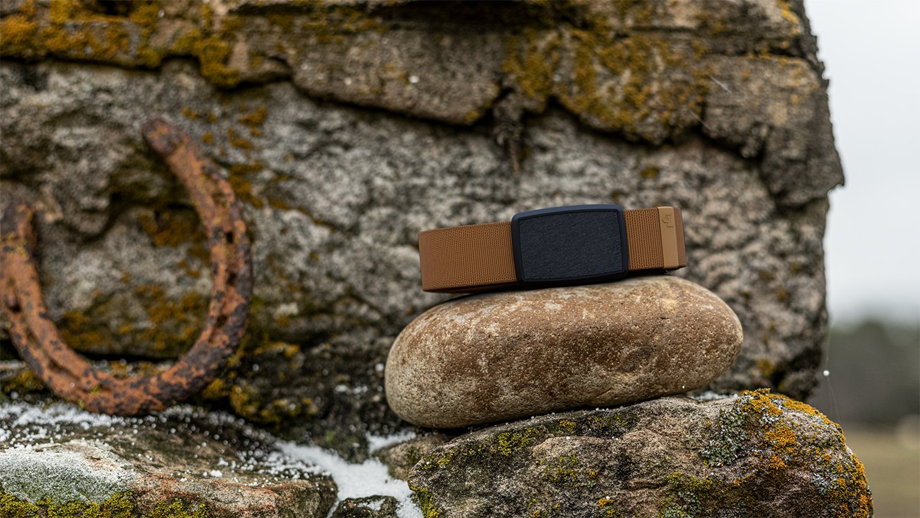 LP Belt On Stone Comp.jpg