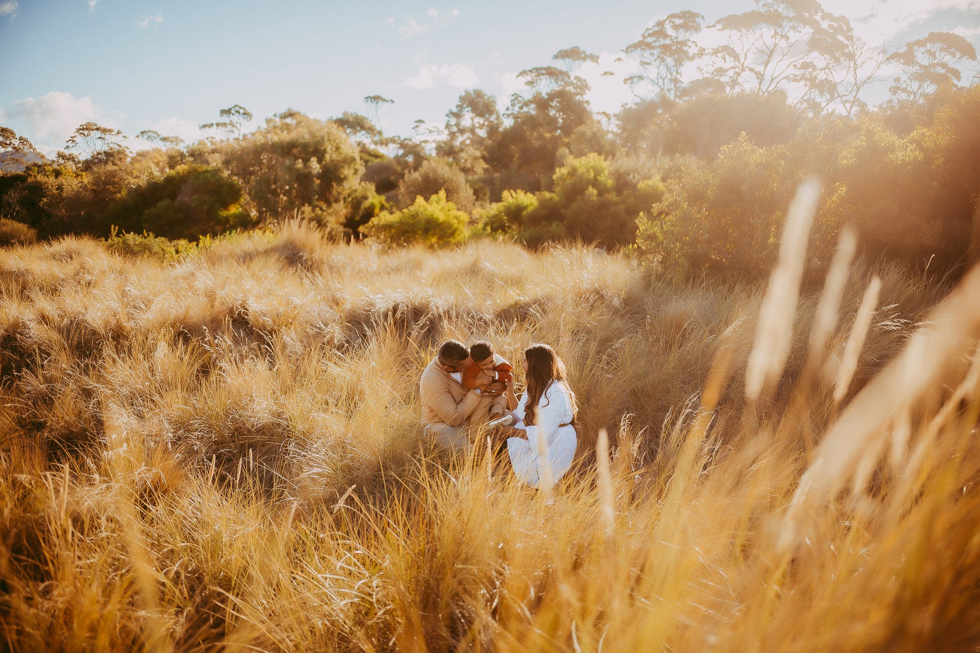 Family of four sitting together in a field of tall, golden grass with trees and blue sky in the background, during sunset. Family photo session with relaxed approach.